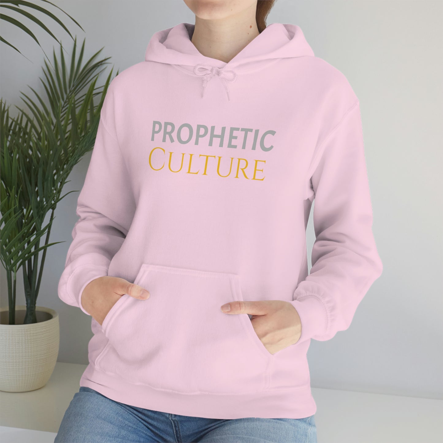 My Prophetic Culture Hoodie