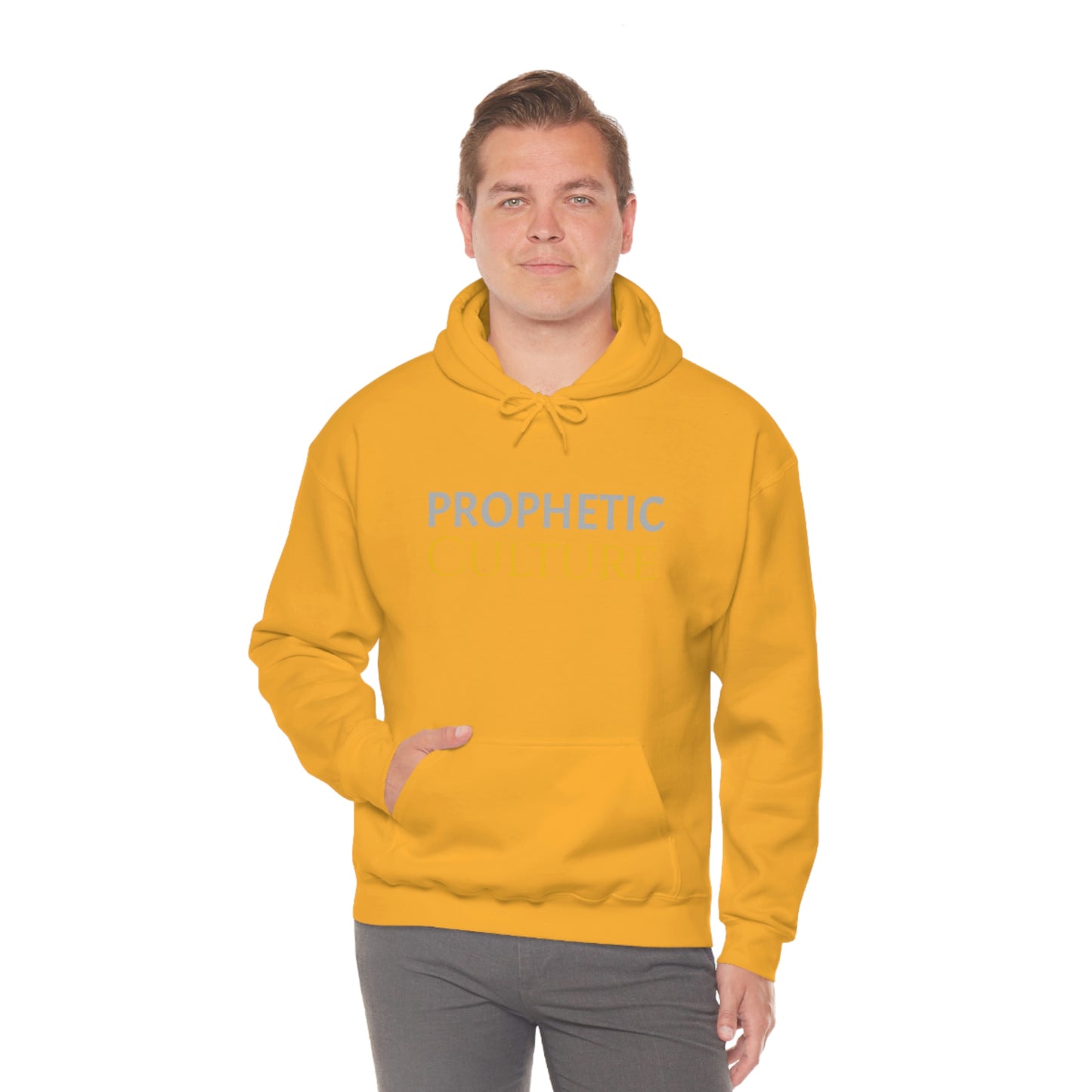 My Prophetic Culture Hoodie
