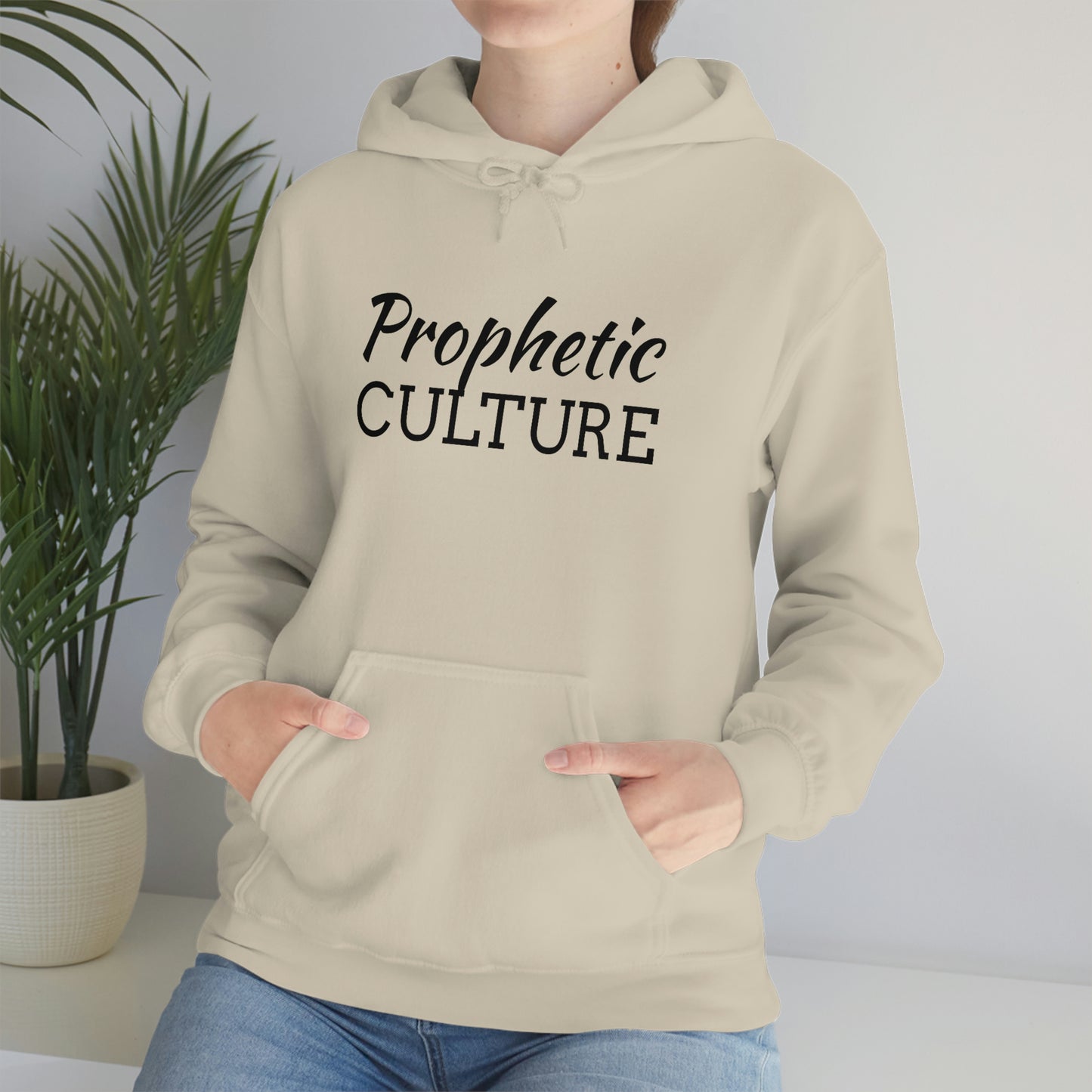 My Prophetic Culture Hoodie