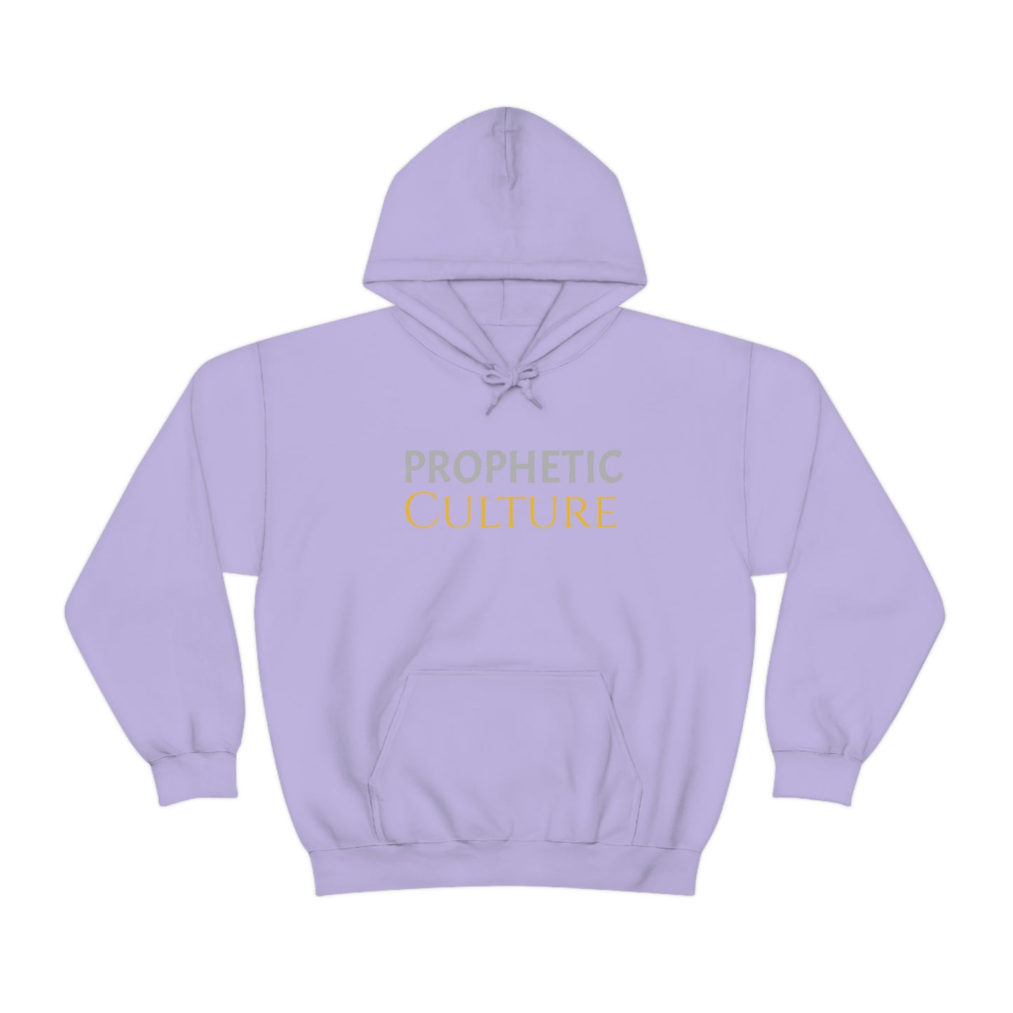 My Prophetic Culture Hoodie