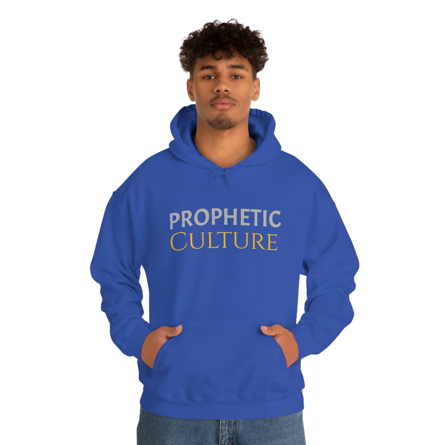 My Prophetic Culture Hoodie