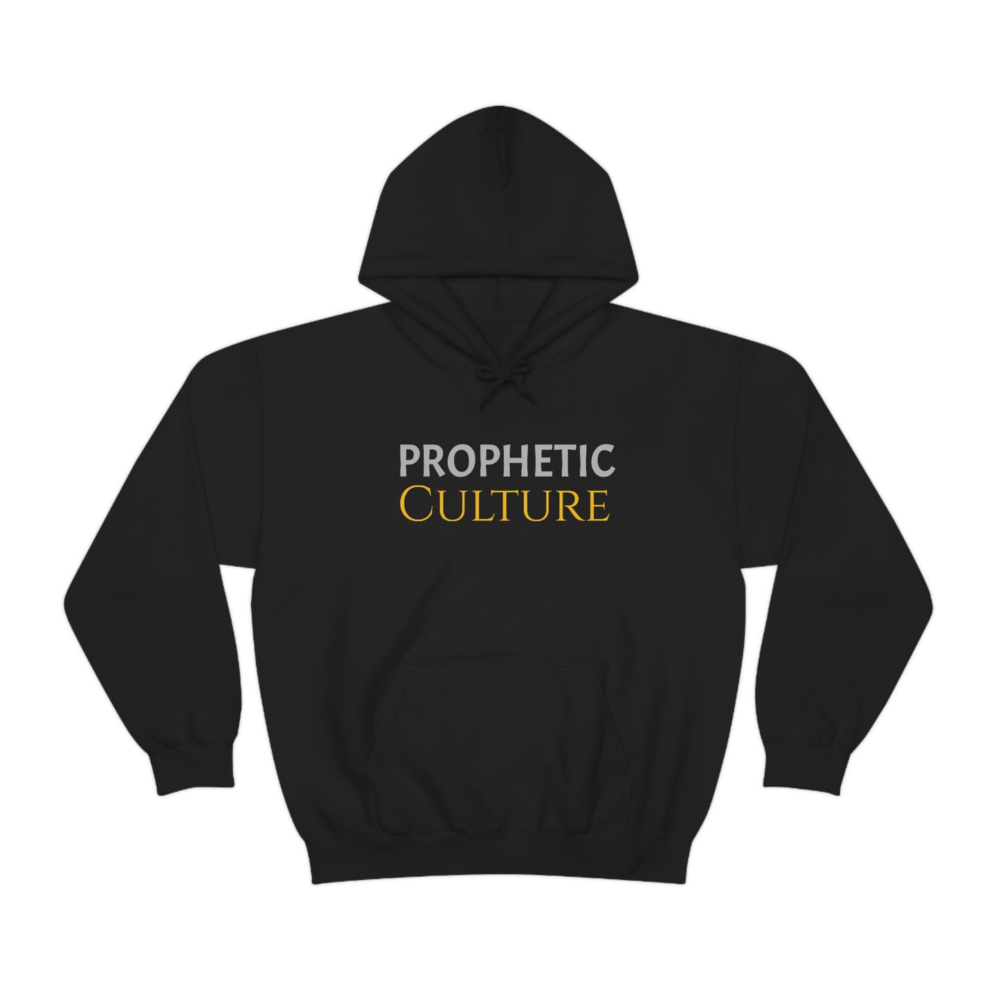 My Prophetic Culture Hoodie
