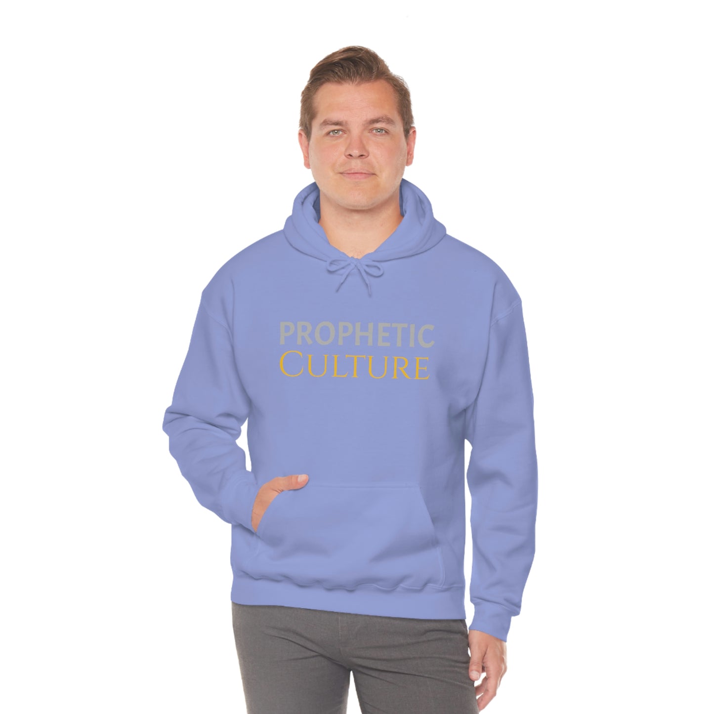 My Prophetic Culture Hoodie
