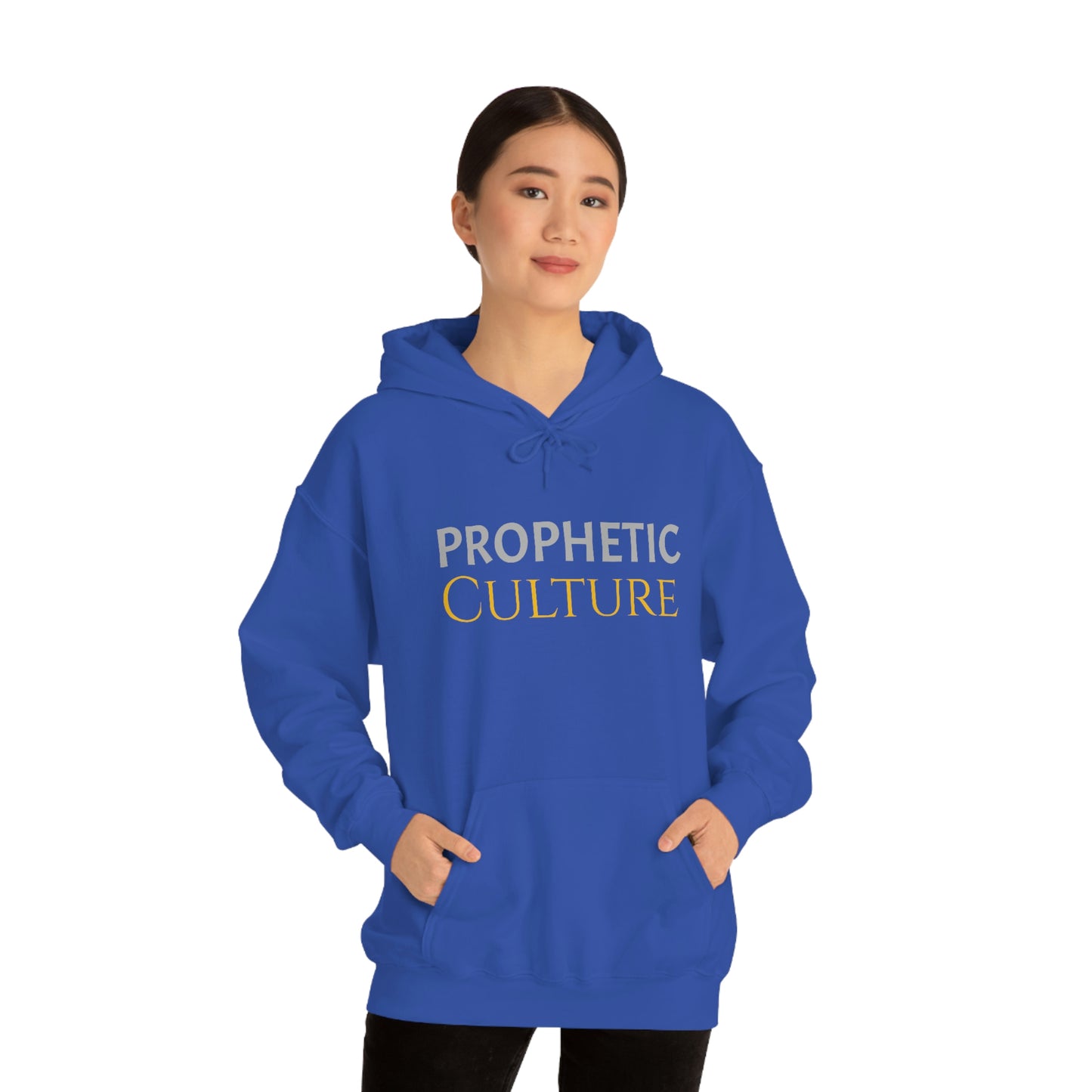 My Prophetic Culture Hoodie