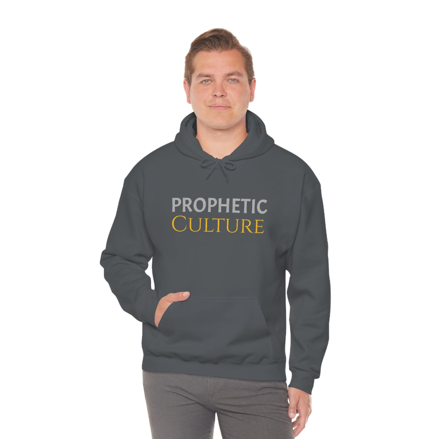 My Prophetic Culture Hoodie