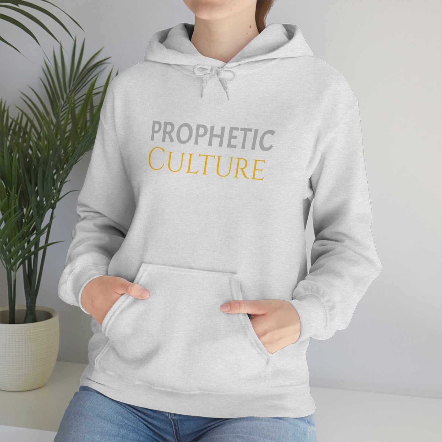 My Prophetic Culture Hoodie