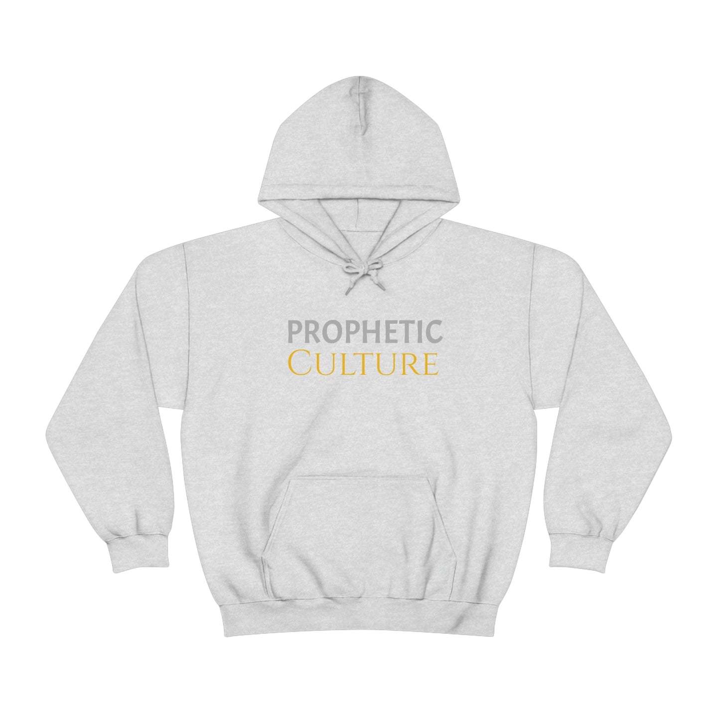 My Prophetic Culture Hoodie