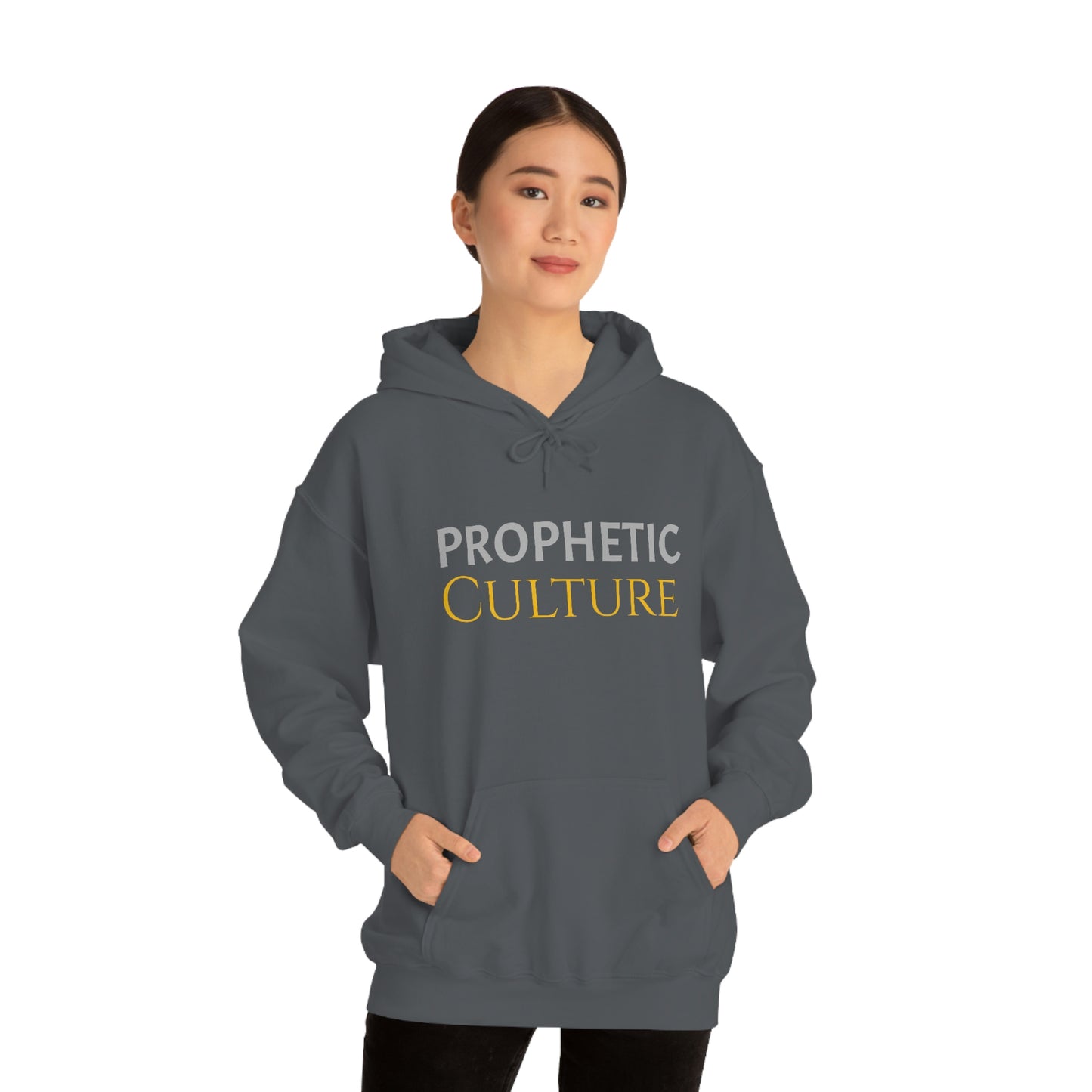 My Prophetic Culture Hoodie