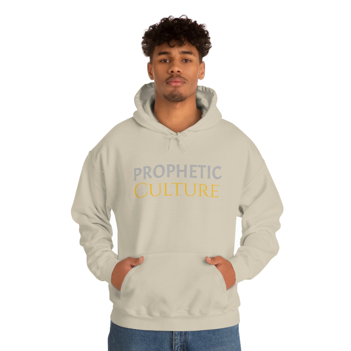 My Prophetic Culture Hoodie