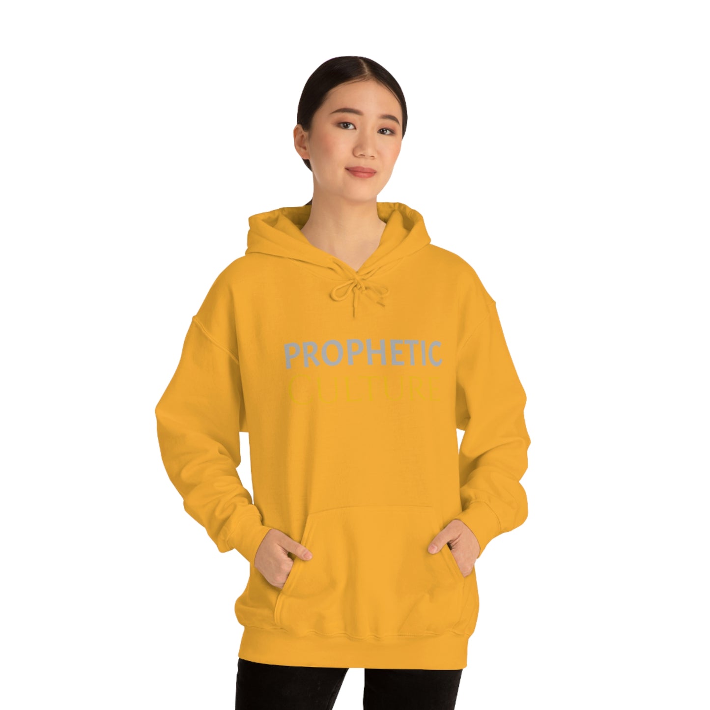 My Prophetic Culture Hoodie
