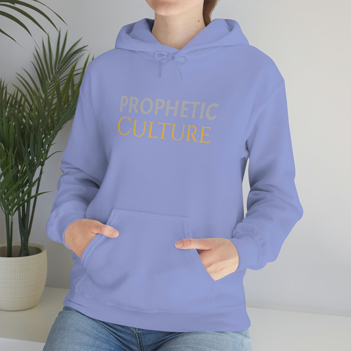 My Prophetic Culture Hoodie