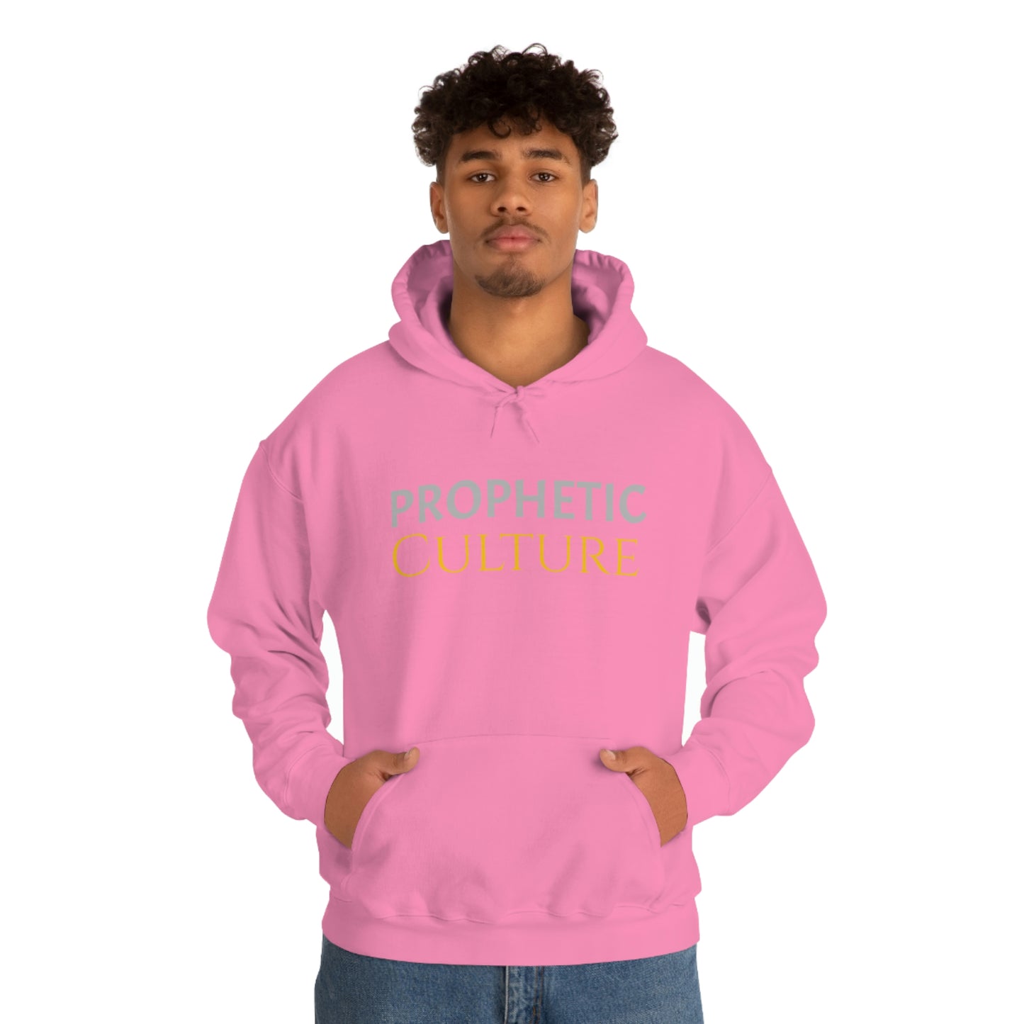 My Prophetic Culture Hoodie