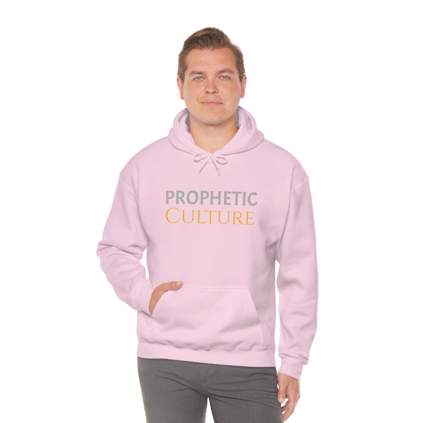My Prophetic Culture Hoodie