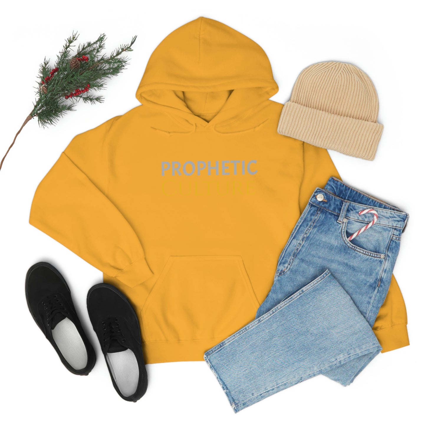 My Prophetic Culture Hoodie