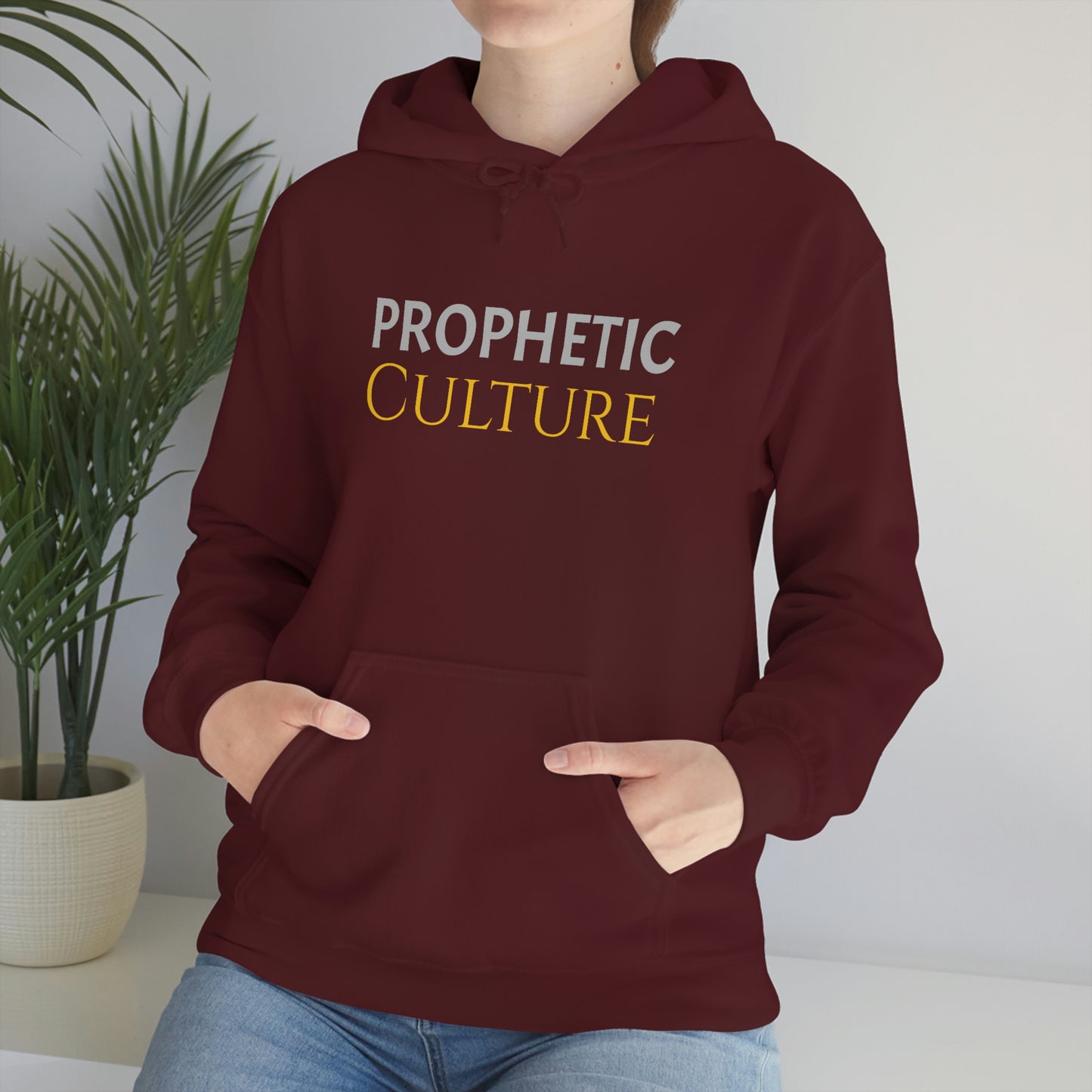 My Prophetic Culture Hoodie