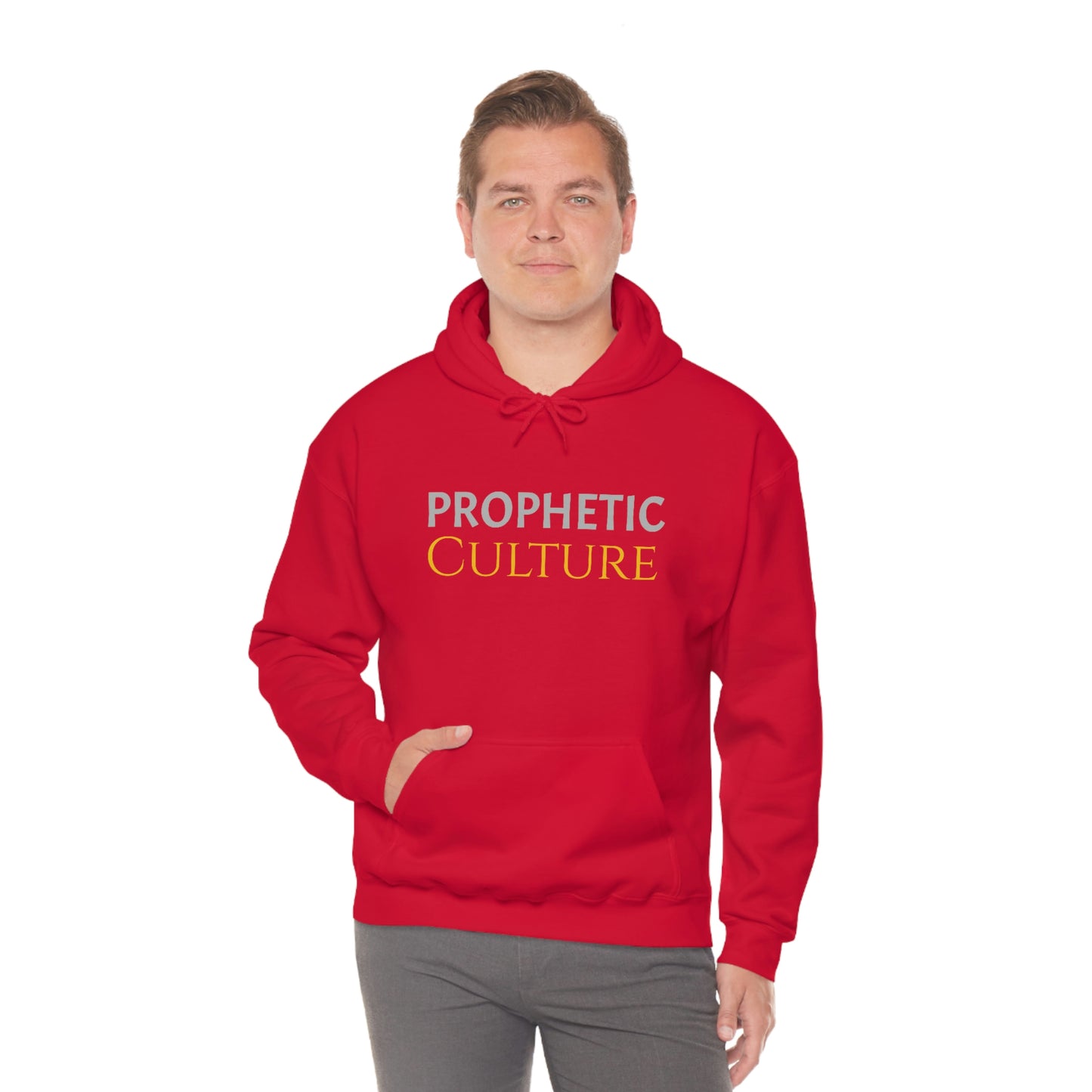 My Prophetic Culture Hoodie