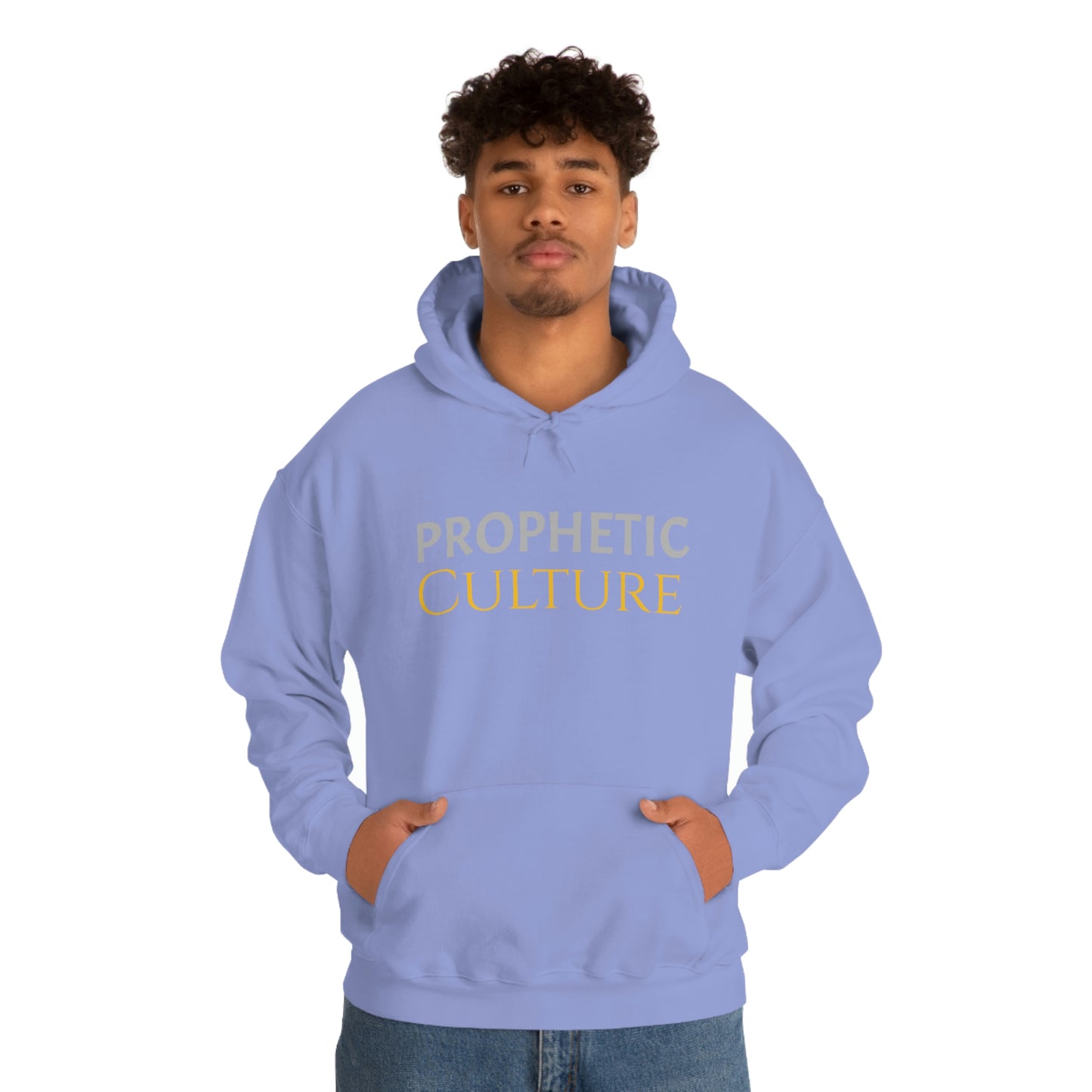 My Prophetic Culture Hoodie