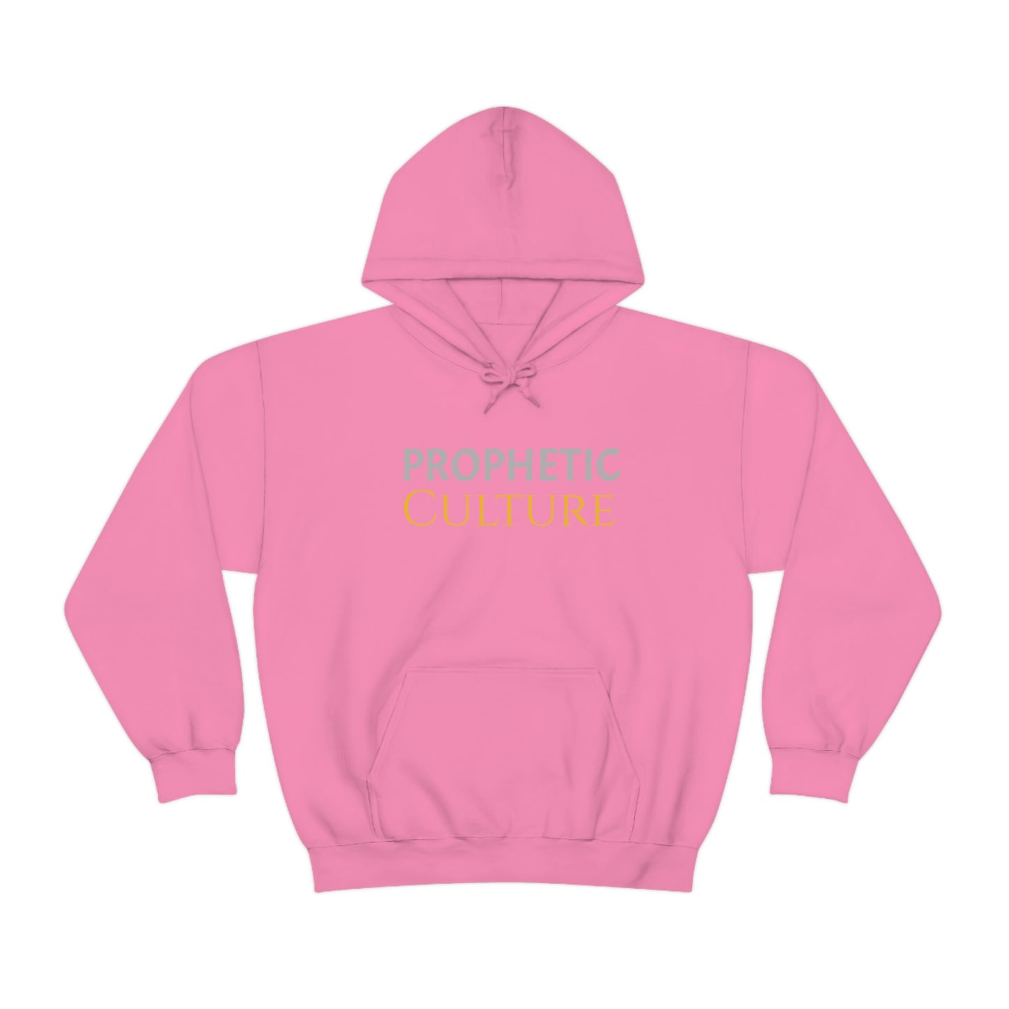 My Prophetic Culture Hoodie