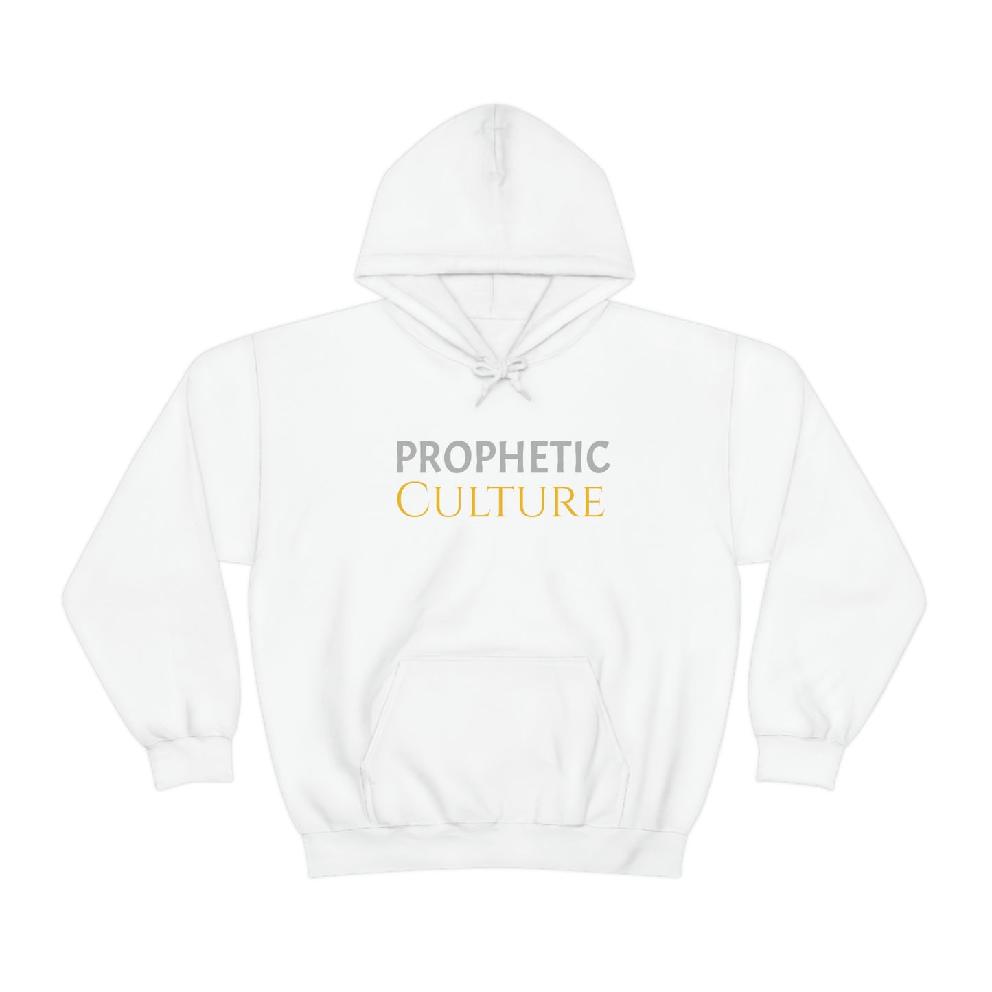 My Prophetic Culture Hoodie