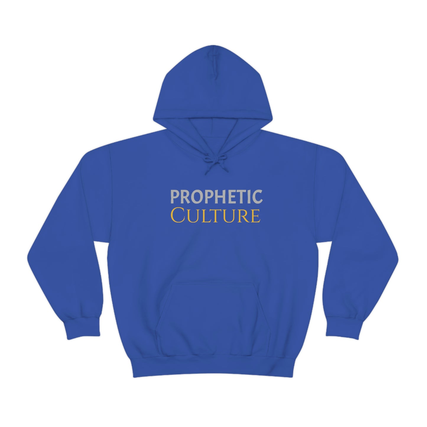 My Prophetic Culture Hoodie