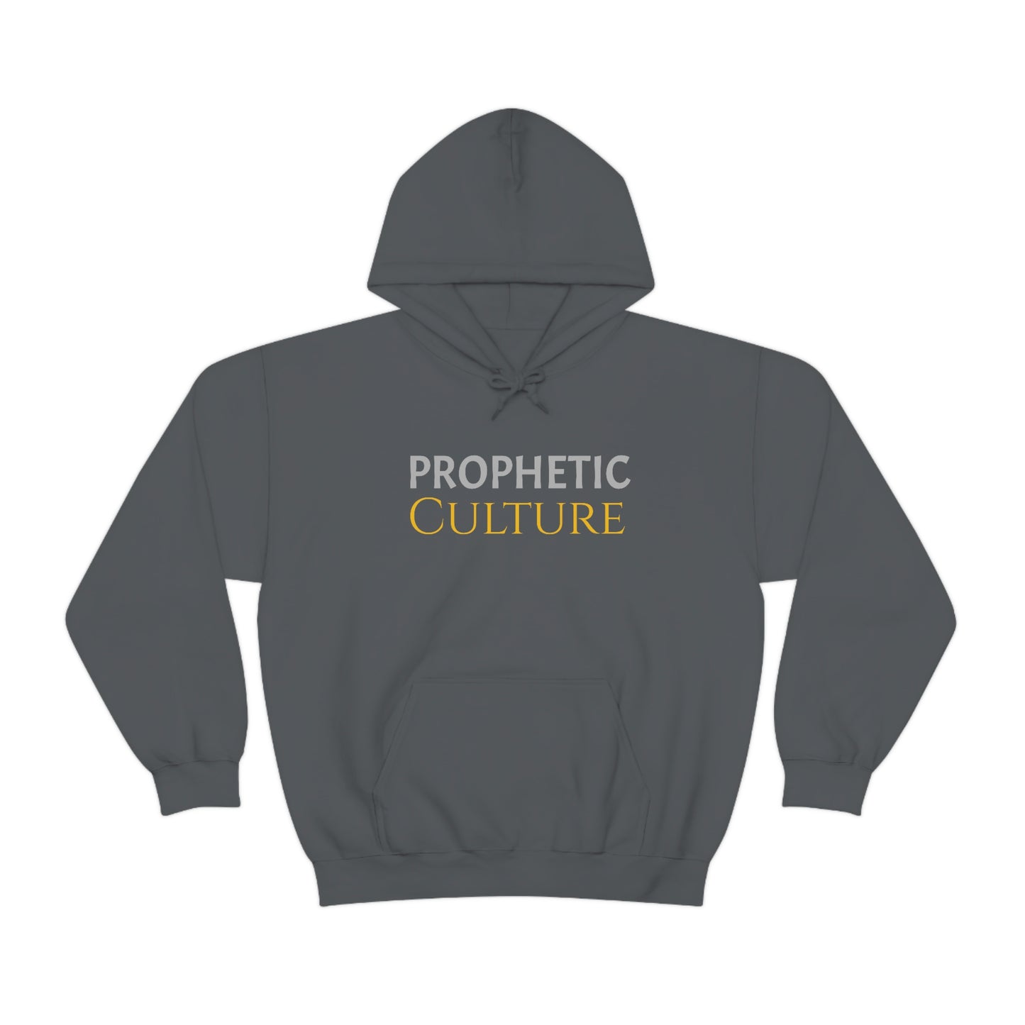 My Prophetic Culture Hoodie