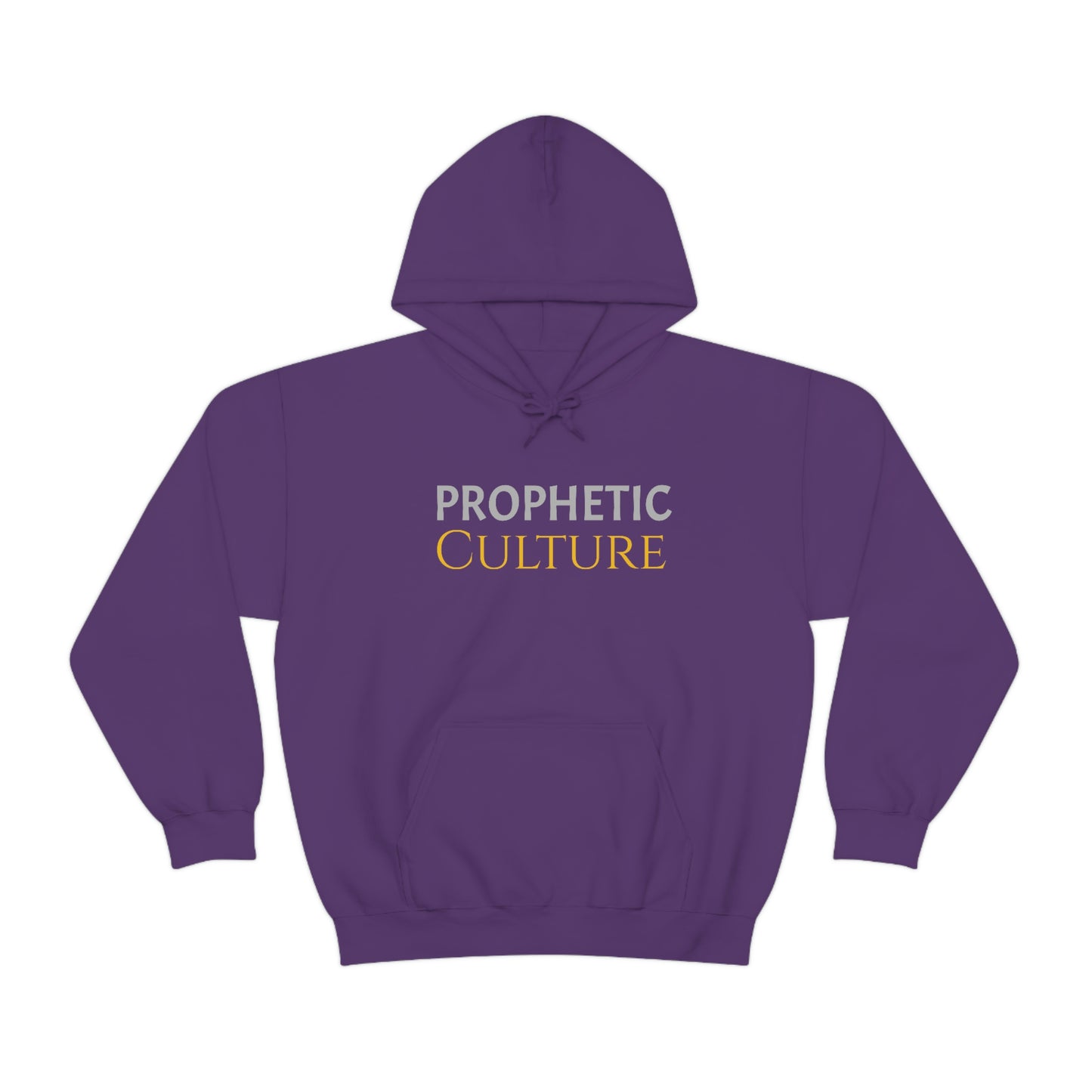 My Prophetic Culture Hoodie