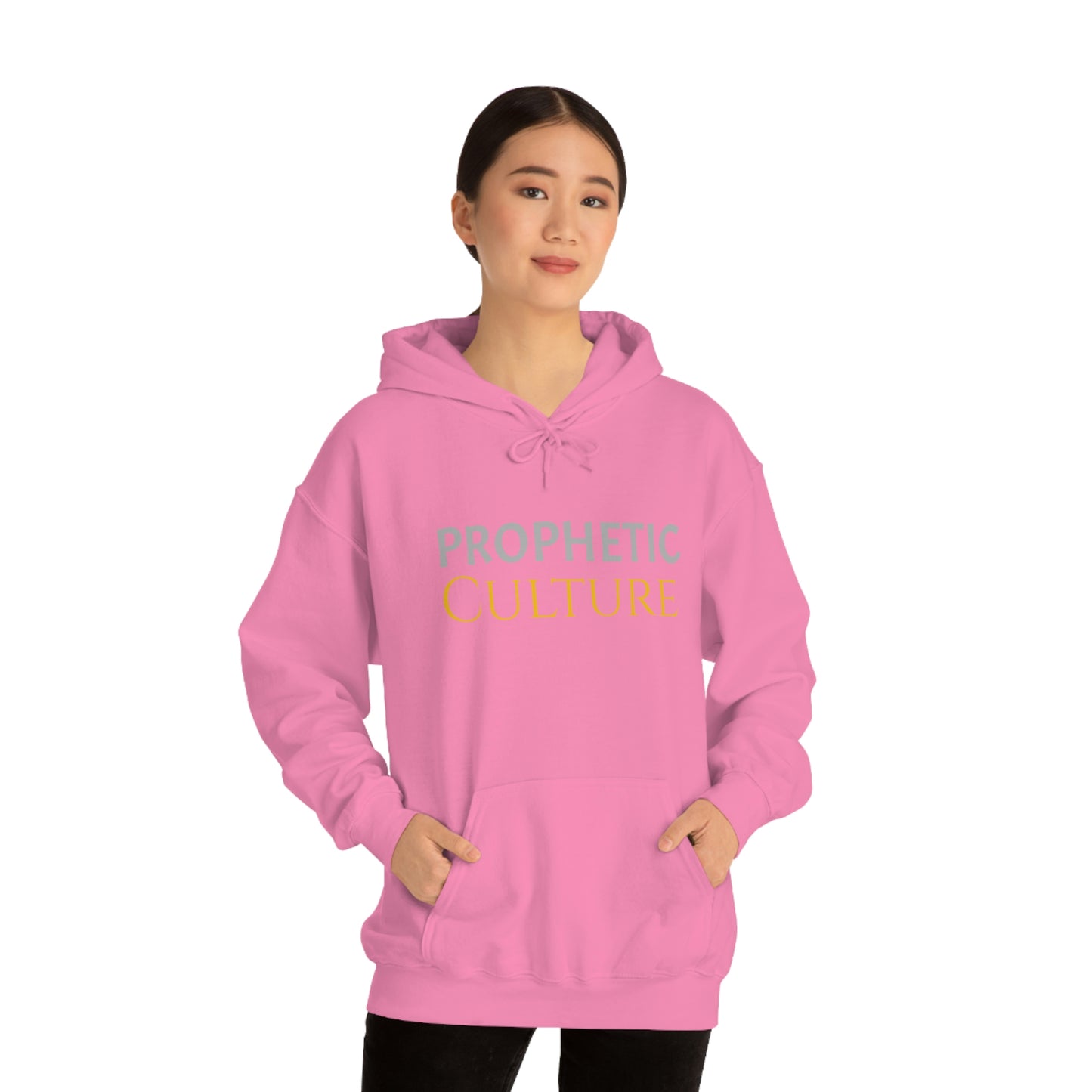 My Prophetic Culture Hoodie