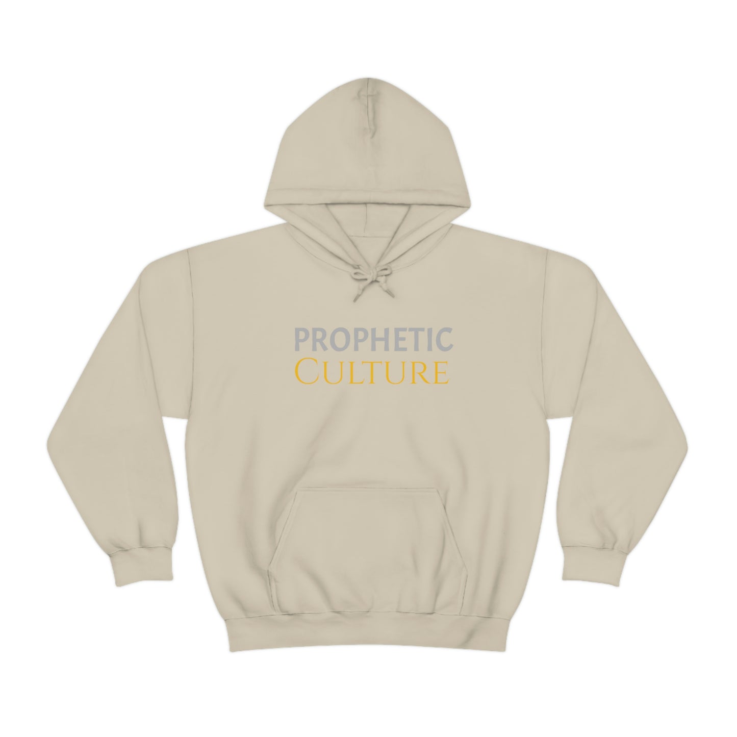 My Prophetic Culture Hoodie
