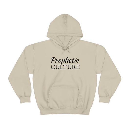 My Prophetic Culture Hoodie