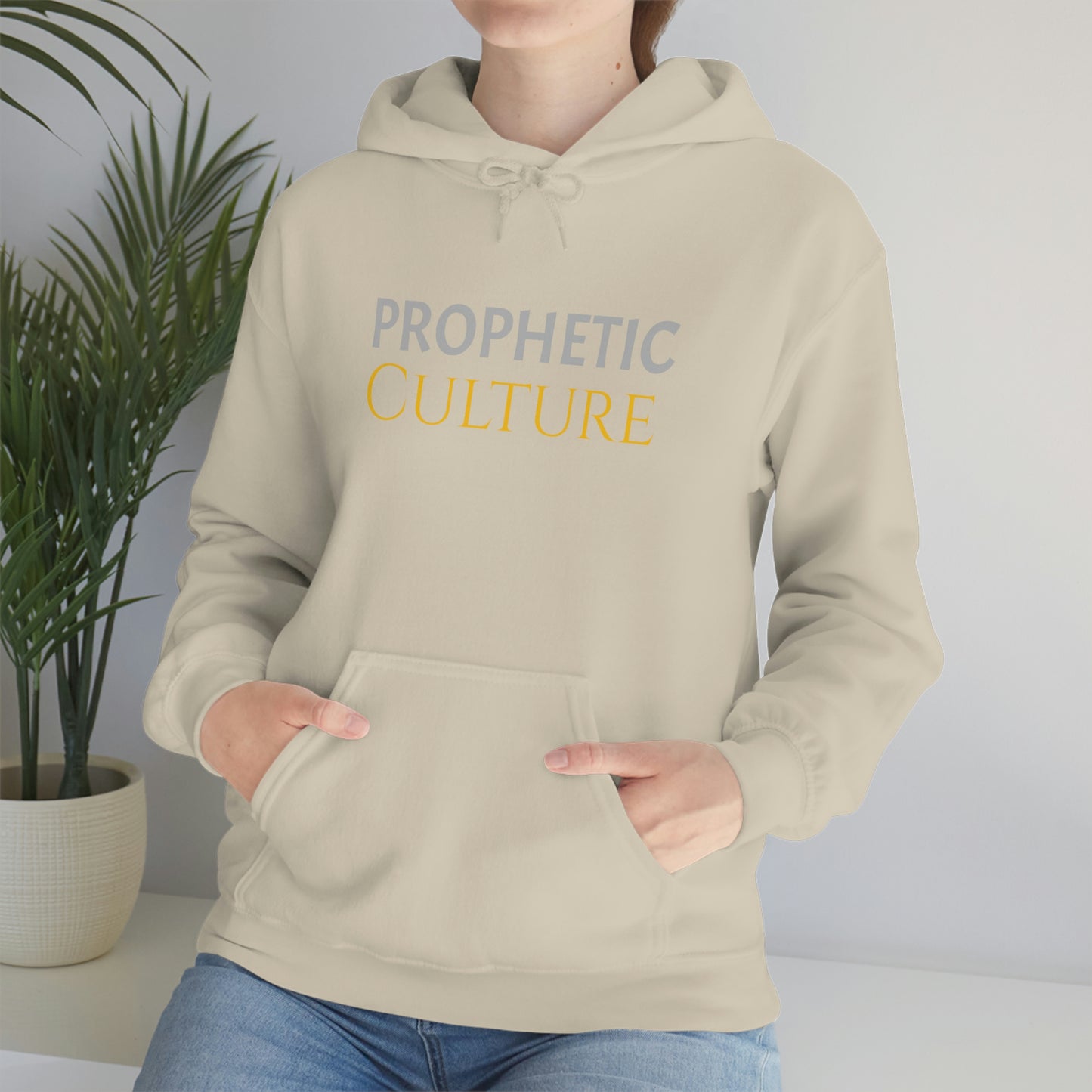 My Prophetic Culture Hoodie