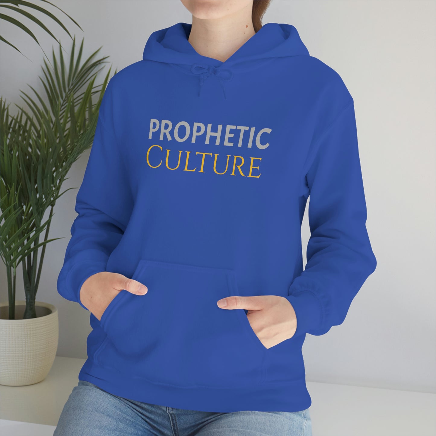 My Prophetic Culture Hoodie