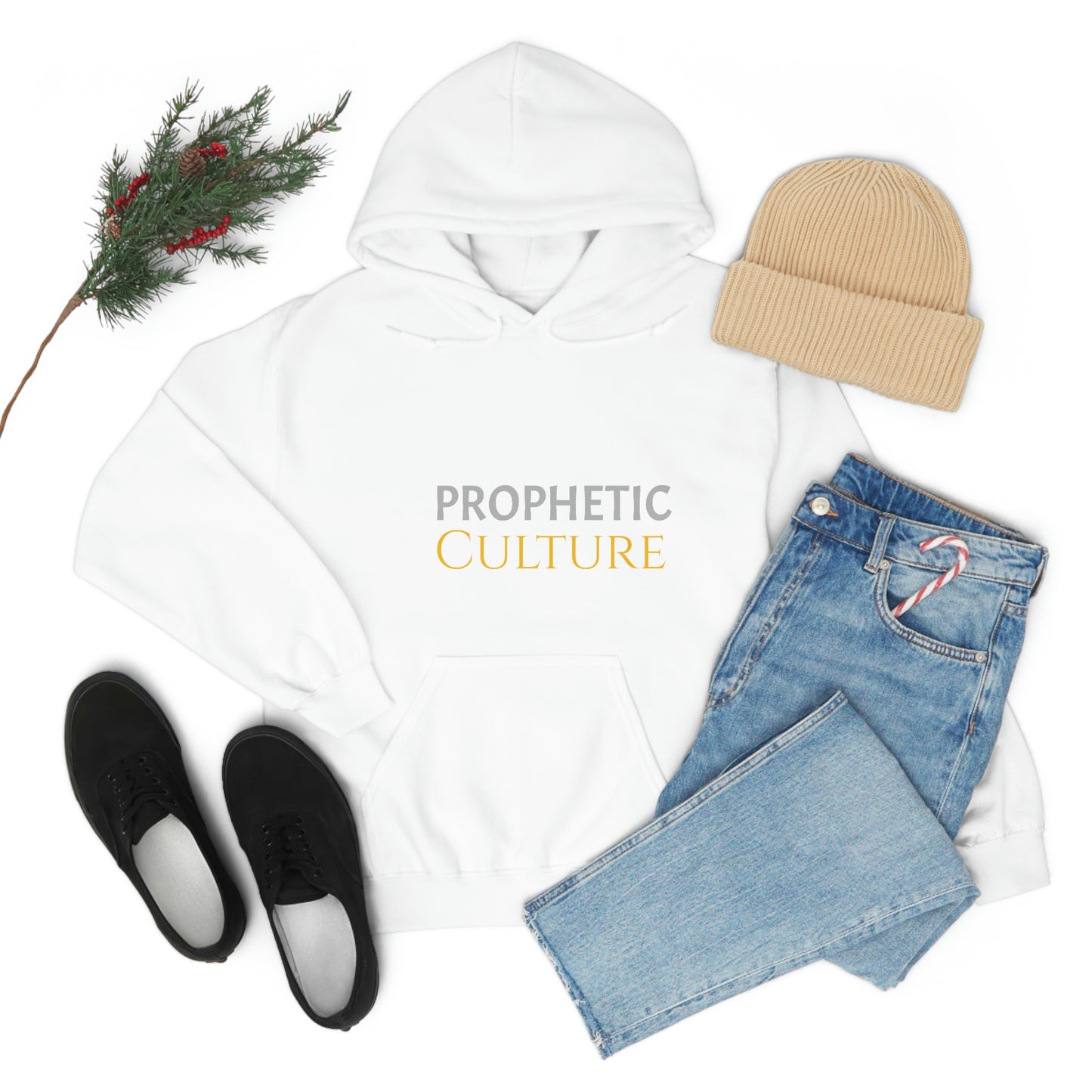 My Prophetic Culture Hoodie
