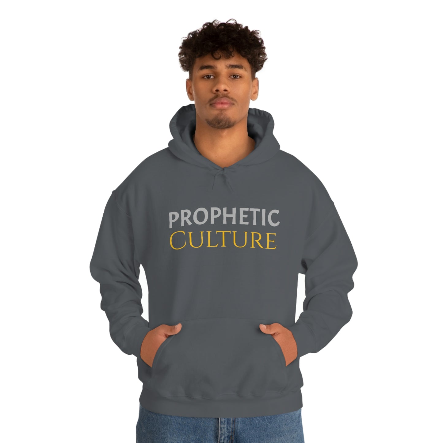 My Prophetic Culture Hoodie