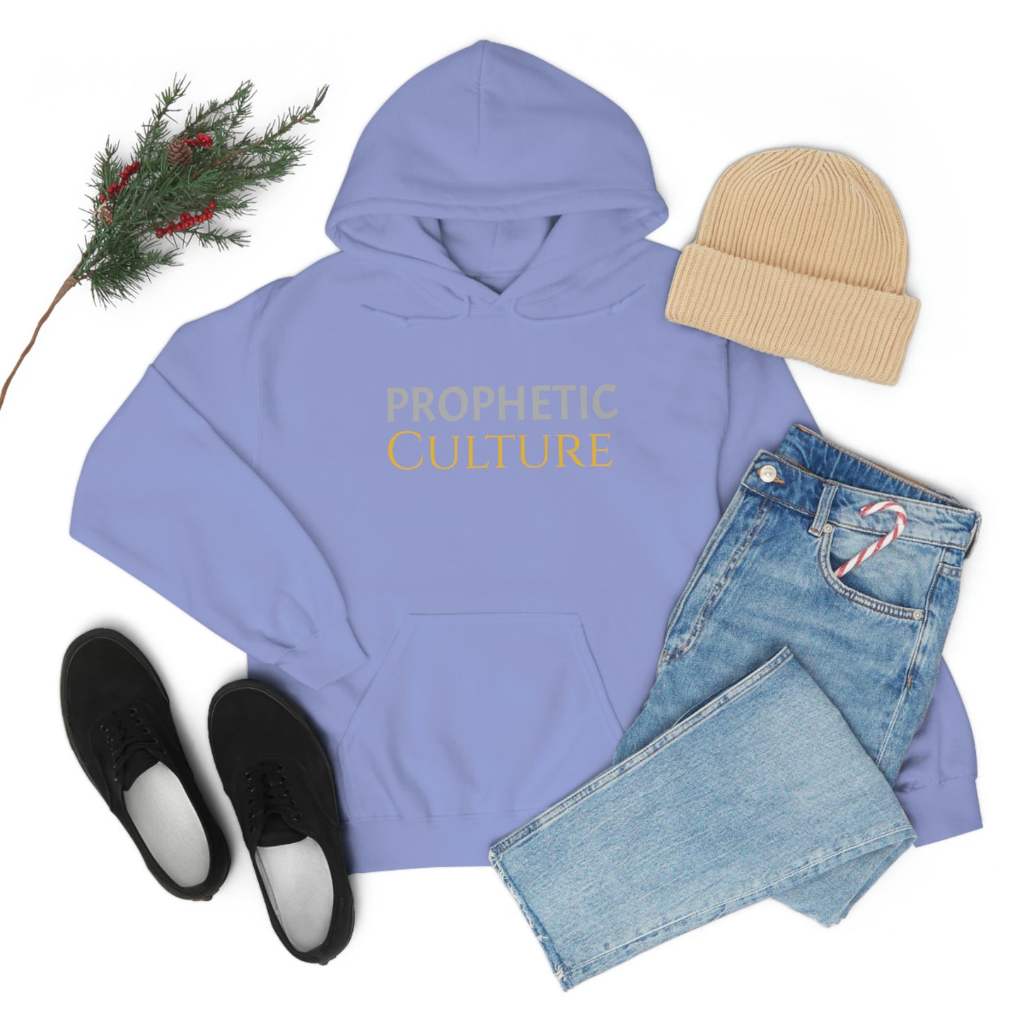 My Prophetic Culture Hoodie