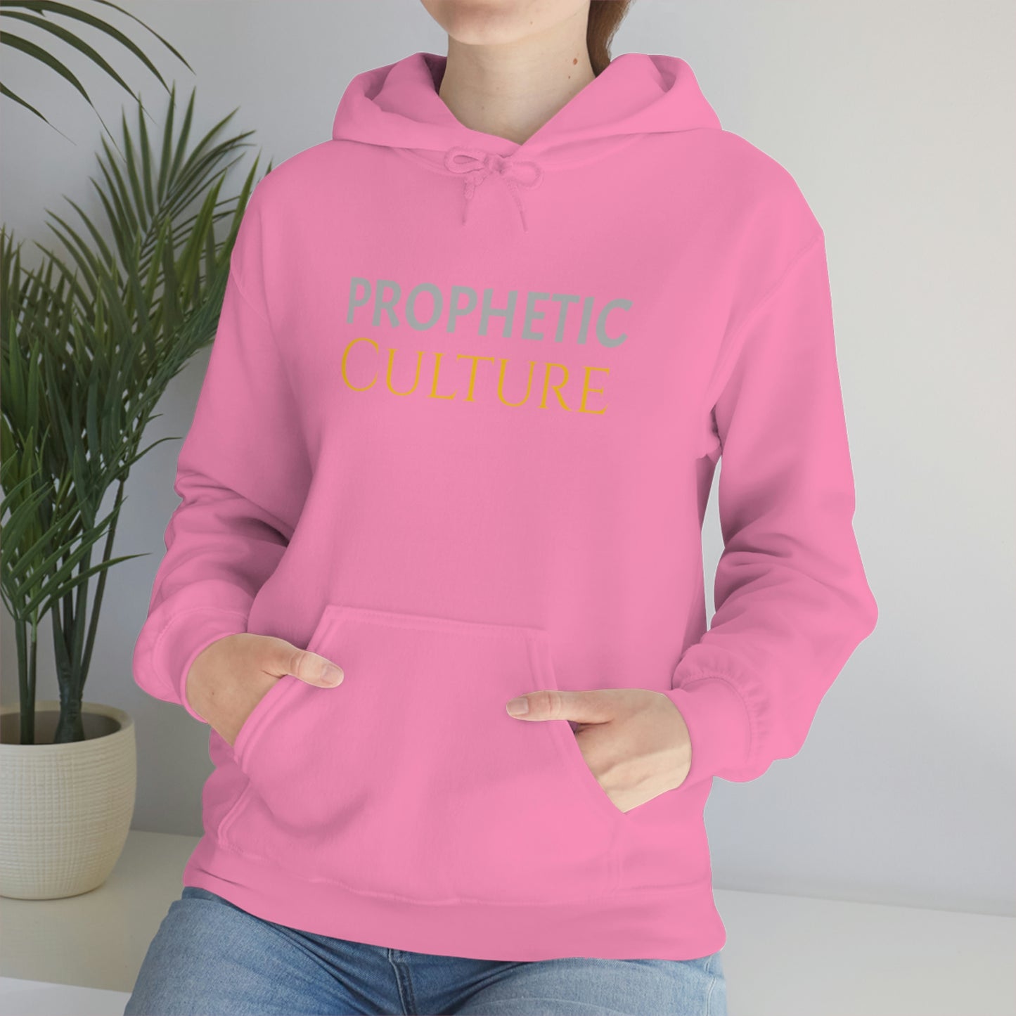 My Prophetic Culture Hoodie