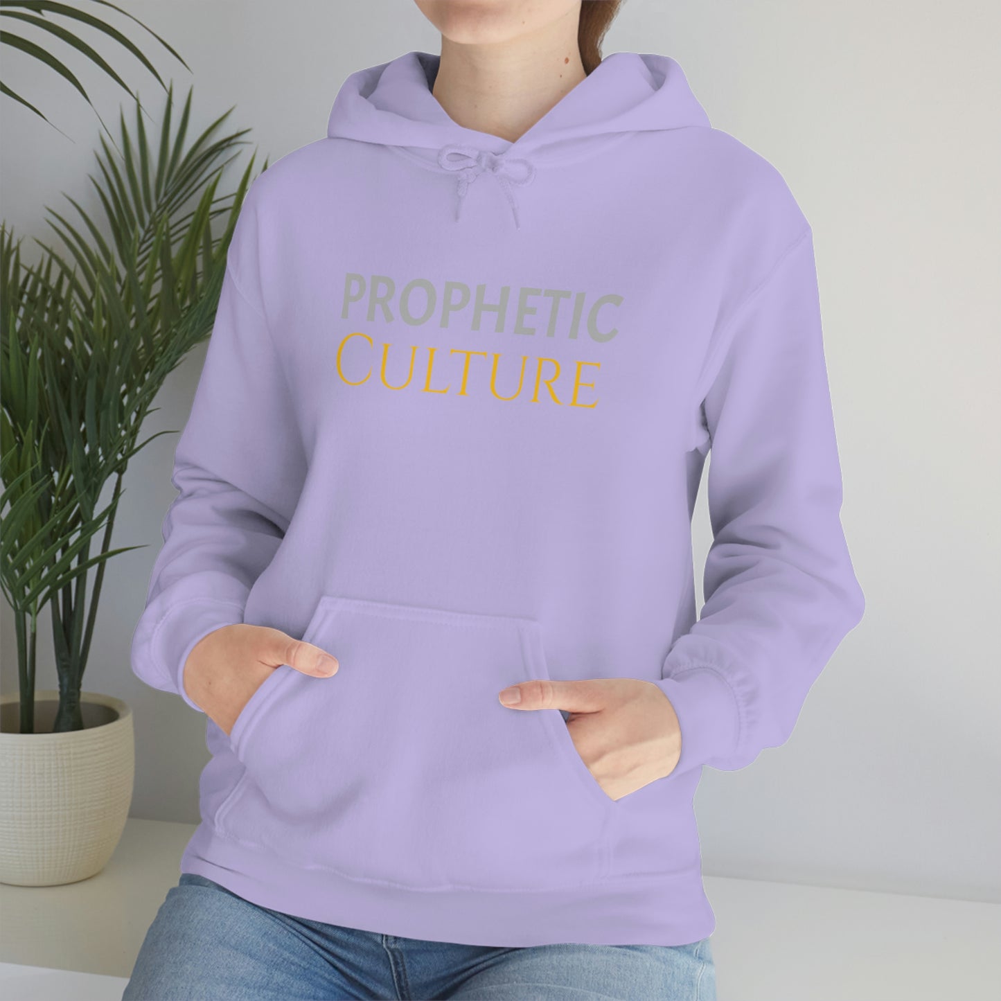 My Prophetic Culture Hoodie