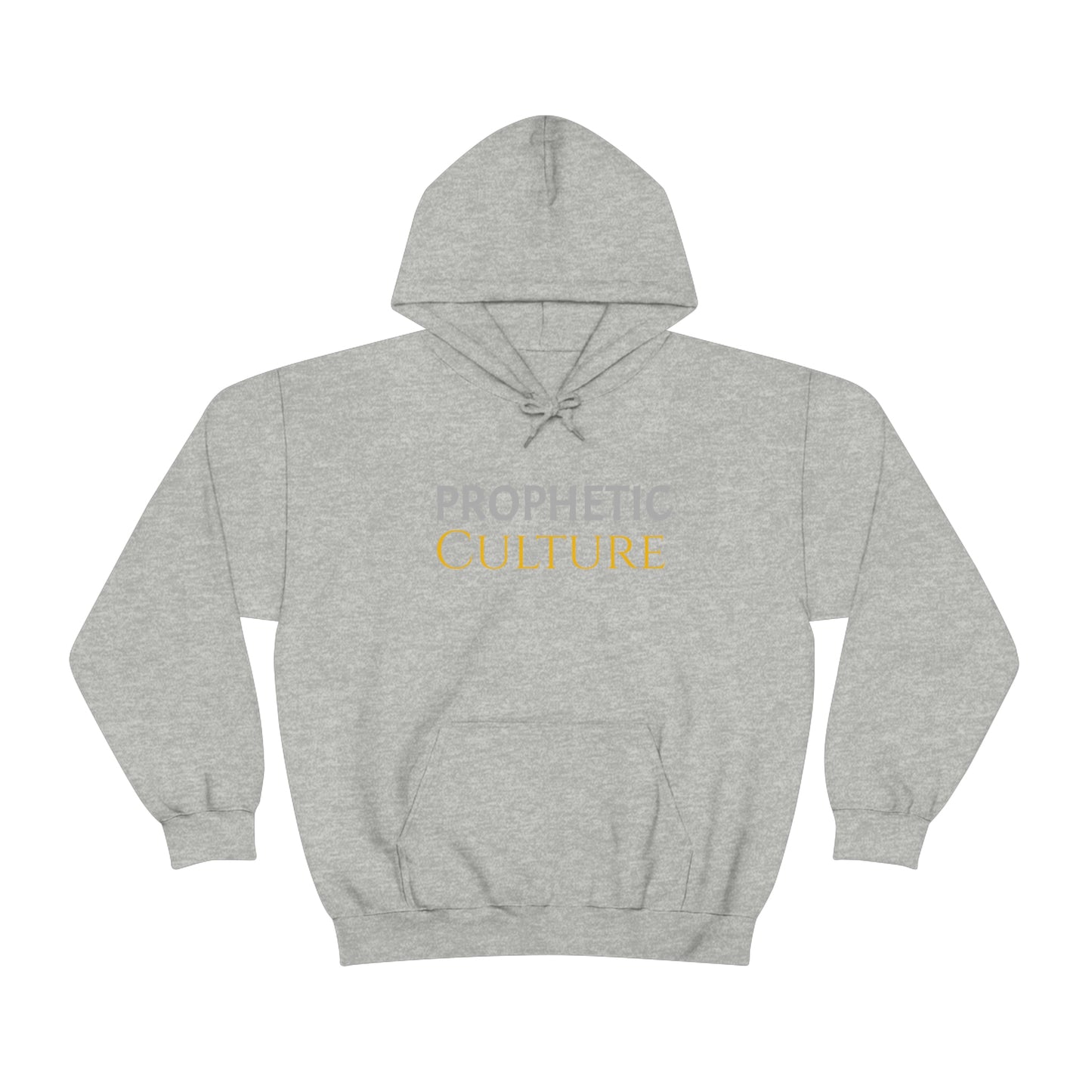 My Prophetic Culture Hoodie