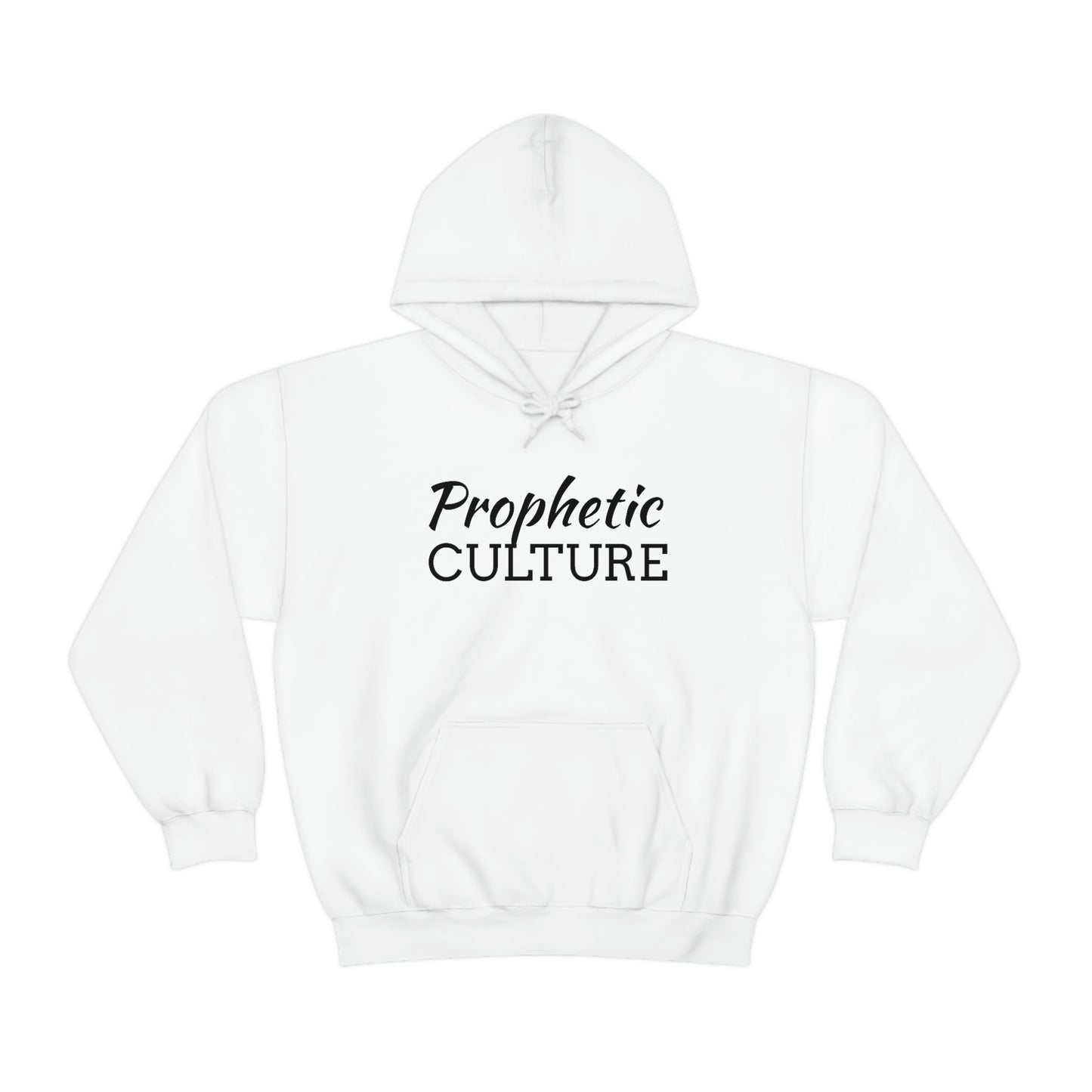 My Prophetic Culture Hoodie