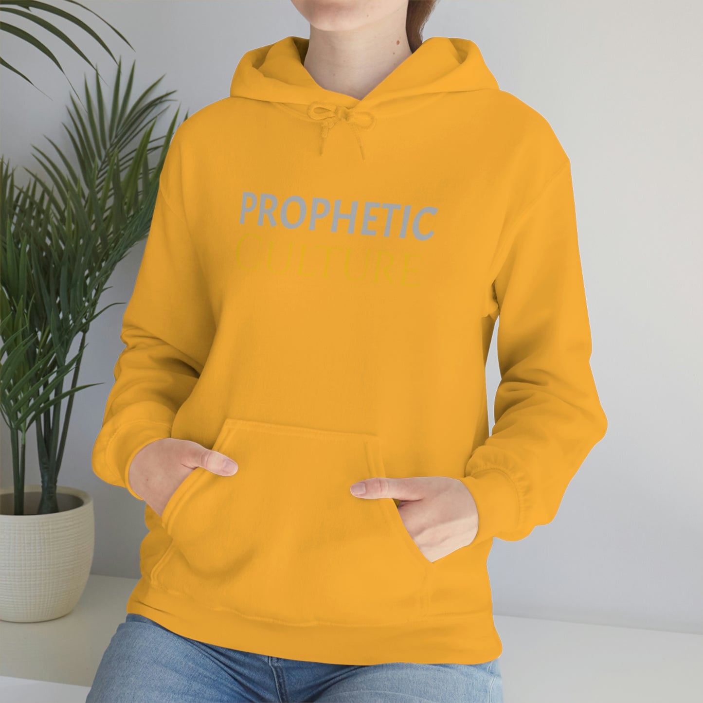 My Prophetic Culture Hoodie