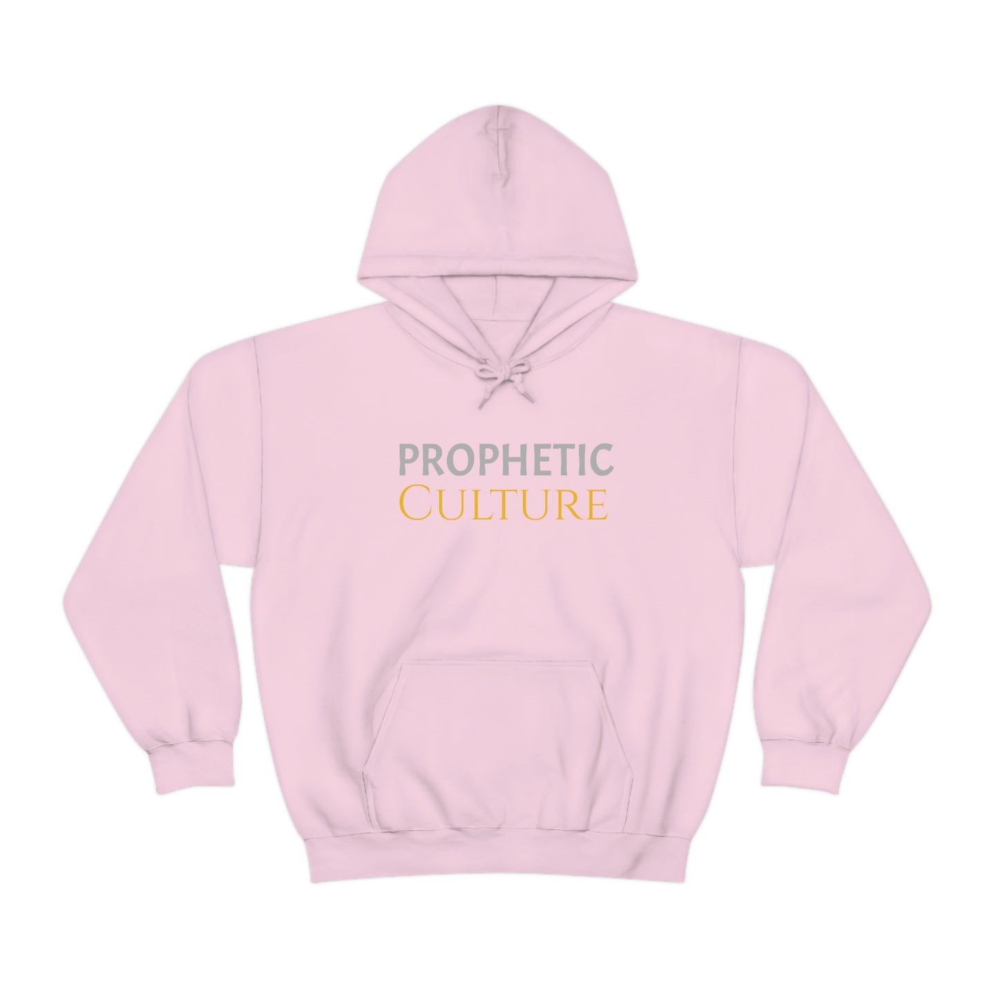 My Prophetic Culture Hoodie