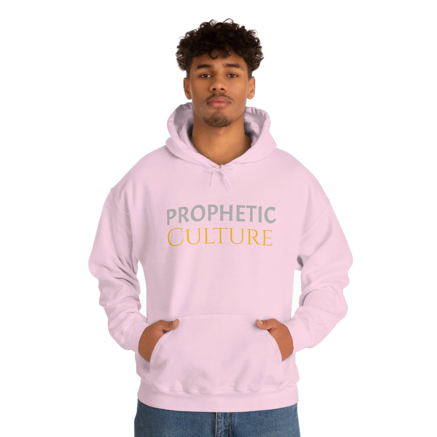 My Prophetic Culture Hoodie
