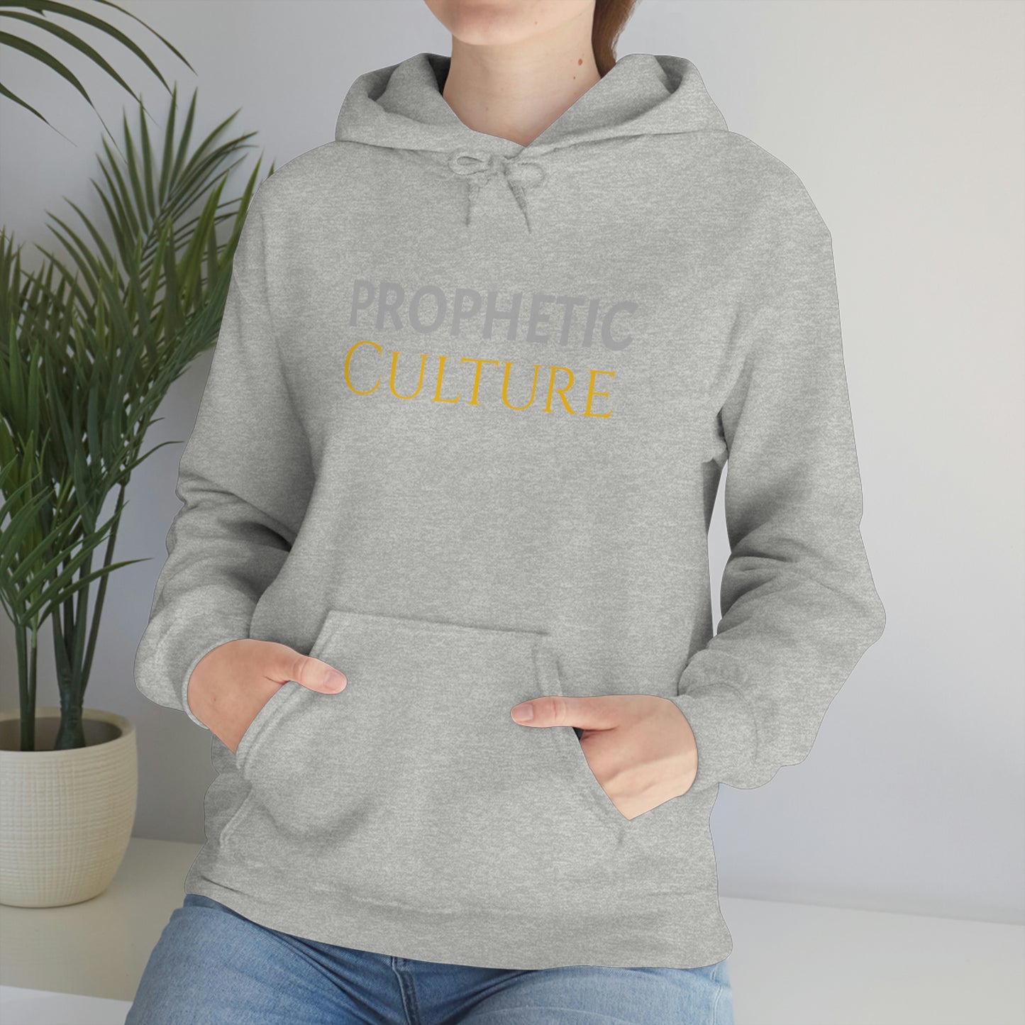 My Prophetic Culture Hoodie