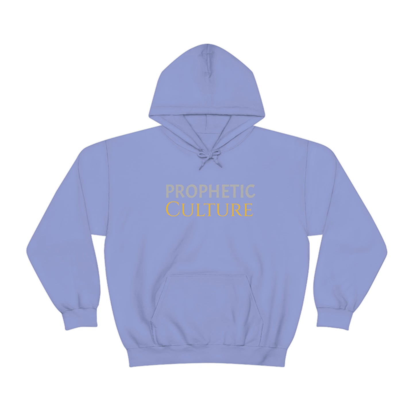 My Prophetic Culture Hoodie