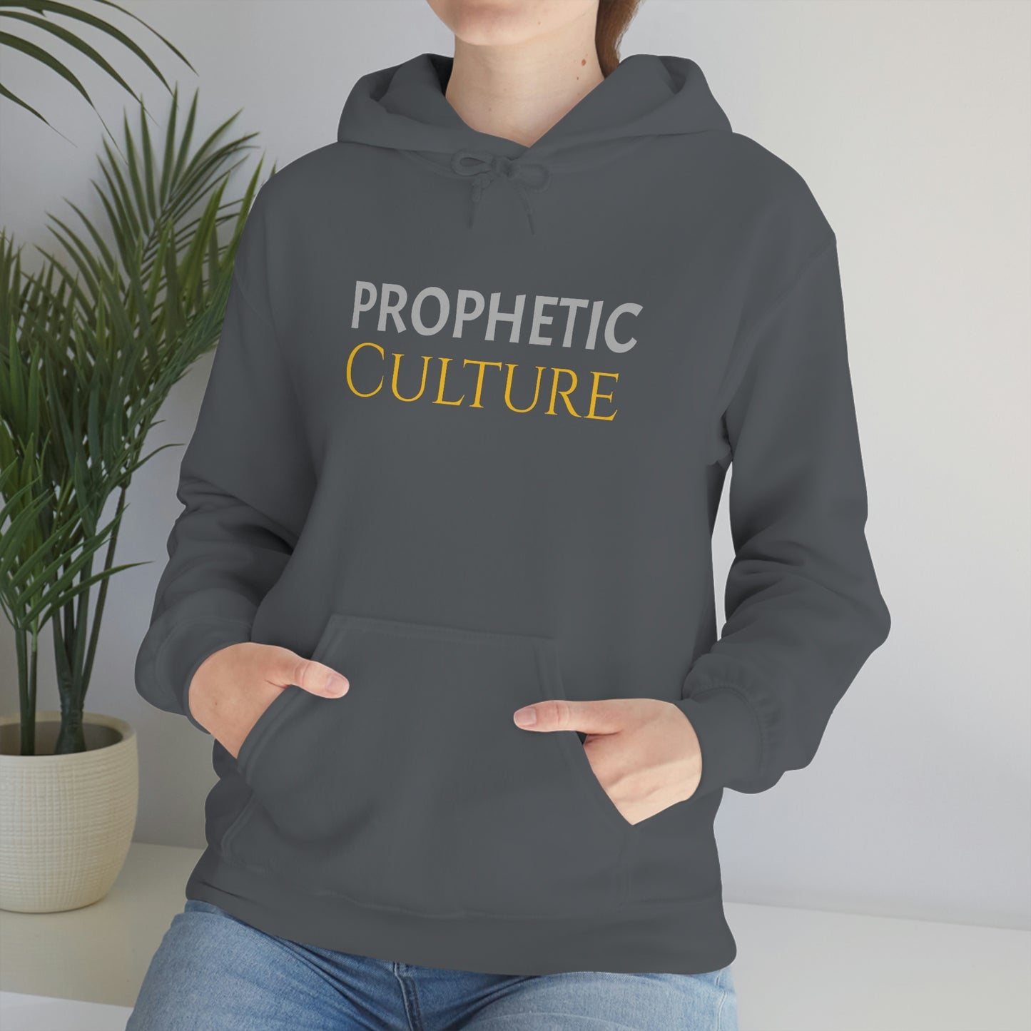 My Prophetic Culture Hoodie