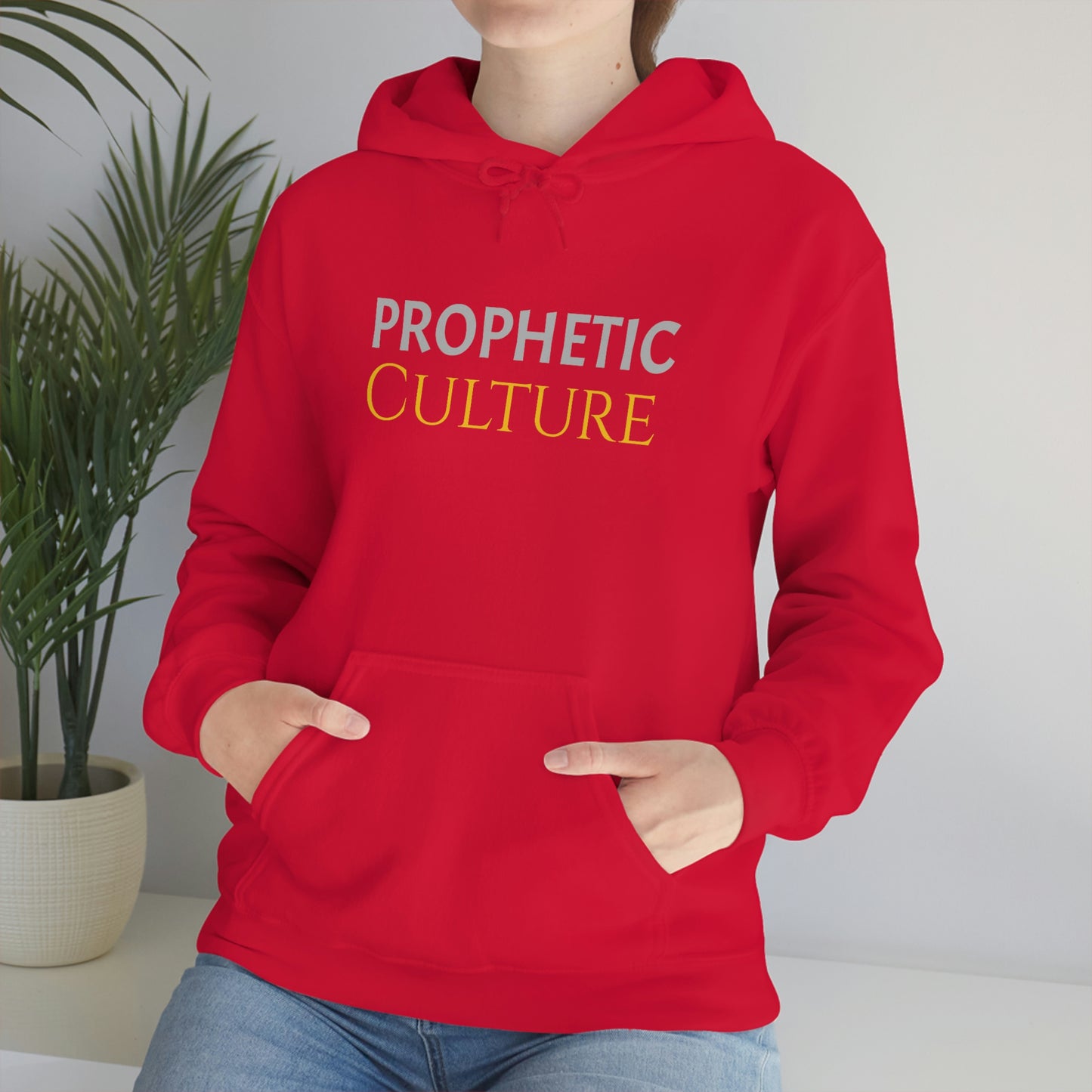 My Prophetic Culture Hoodie