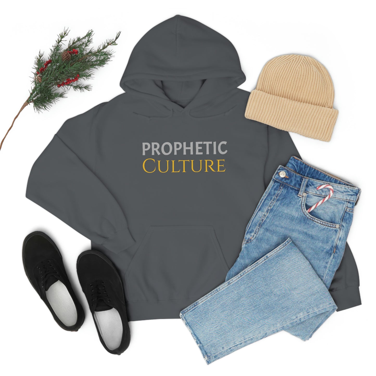 My Prophetic Culture Hoodie