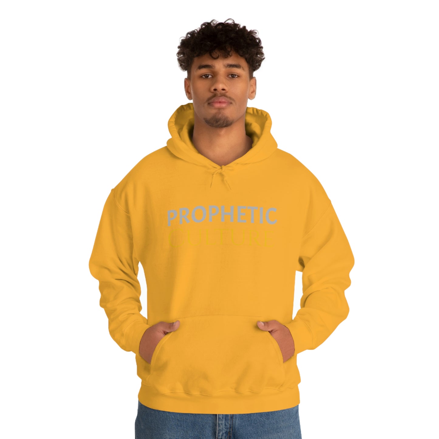 My Prophetic Culture Hoodie