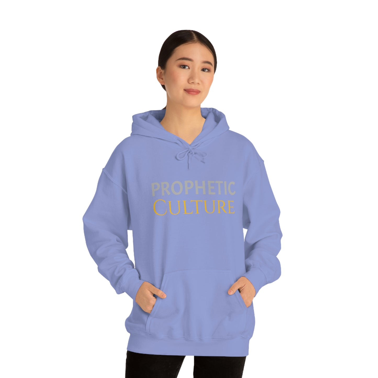 My Prophetic Culture Hoodie