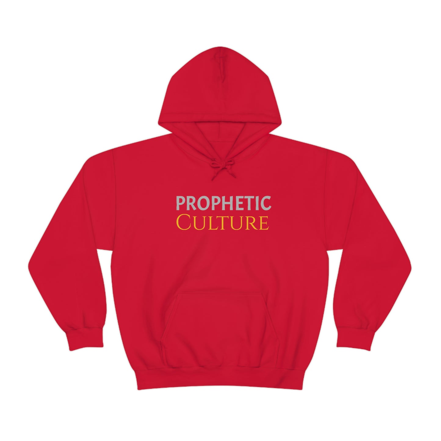 My Prophetic Culture Hoodie