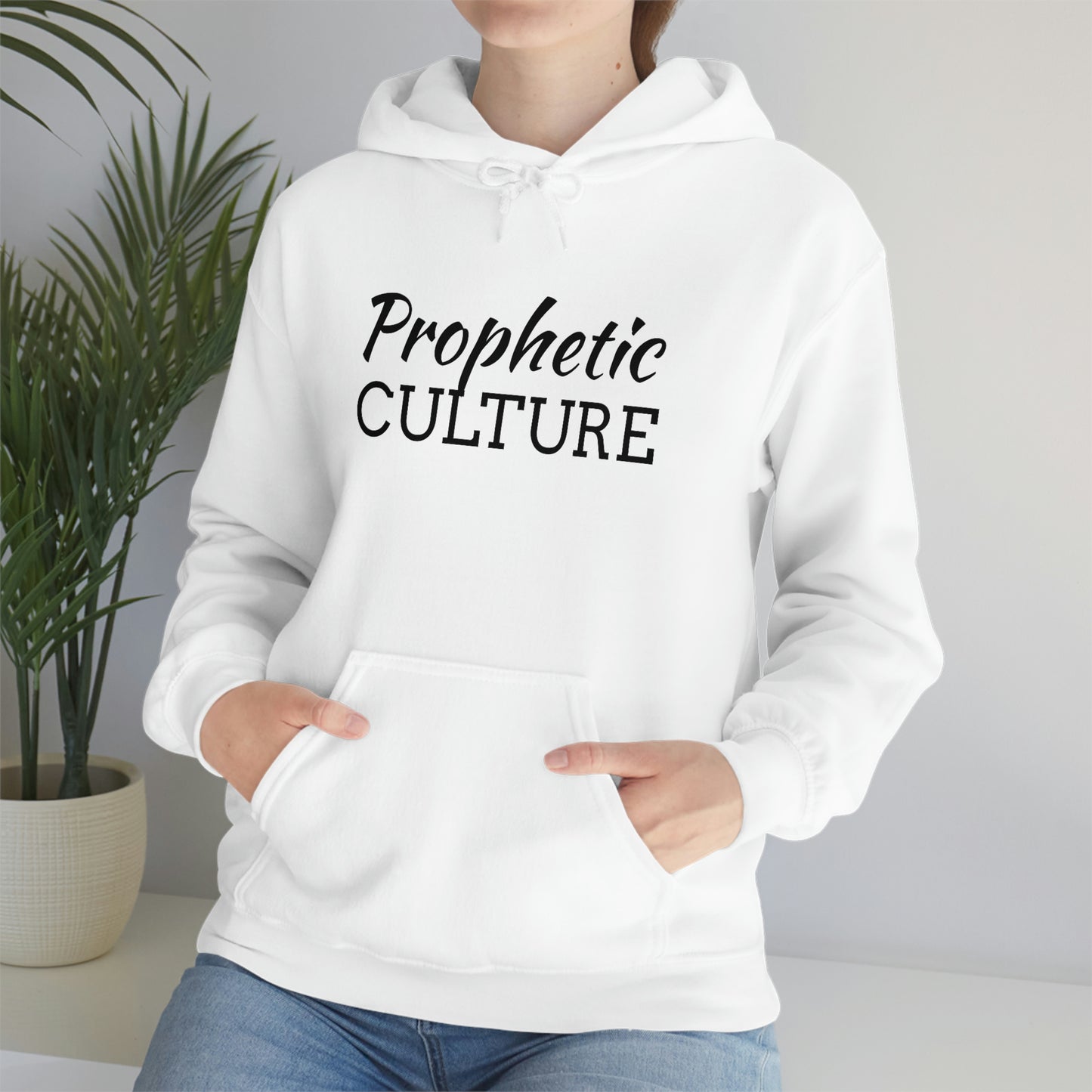 My Prophetic Culture Hoodie